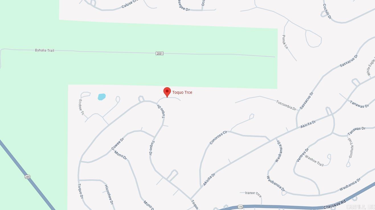 Photo 3 - Vacant Land for sale – Lot 14  Toquo   Cherokee Village, AR