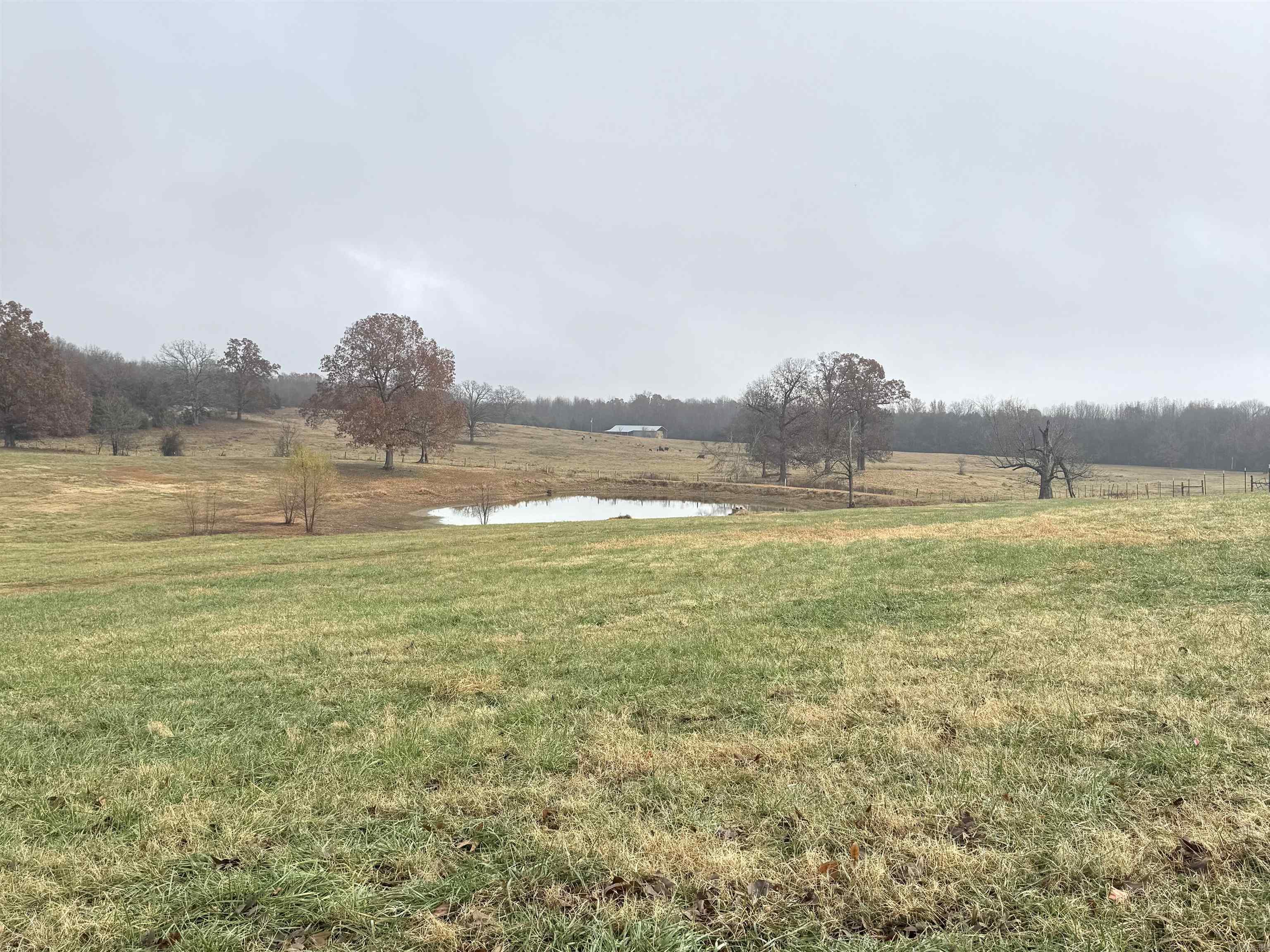 Photo 40 - Residential for sale – 1165  Old Camp   Batesville, AR