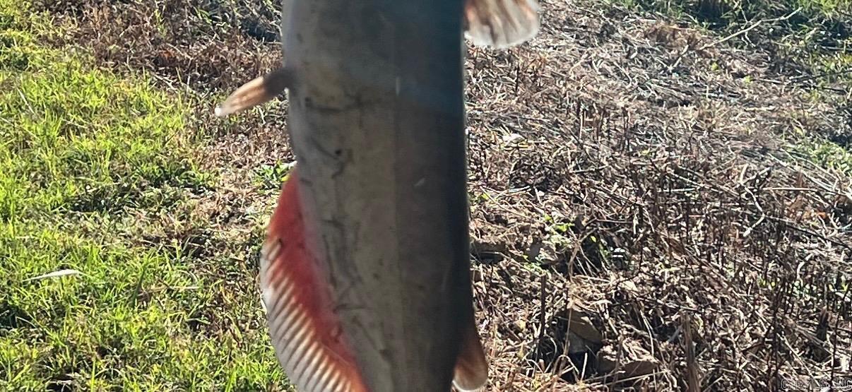 Photo 46 - Residential for sale – 1165  Old Camp   Batesville, AR