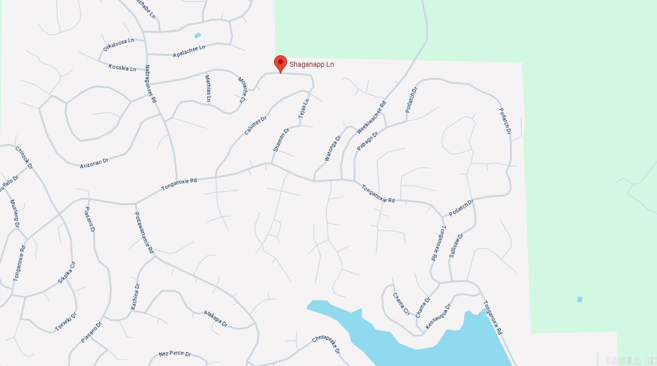 Photo 3 - Vacant Land for sale – Lot 28  Shaganapp   Cherokee Village, AR