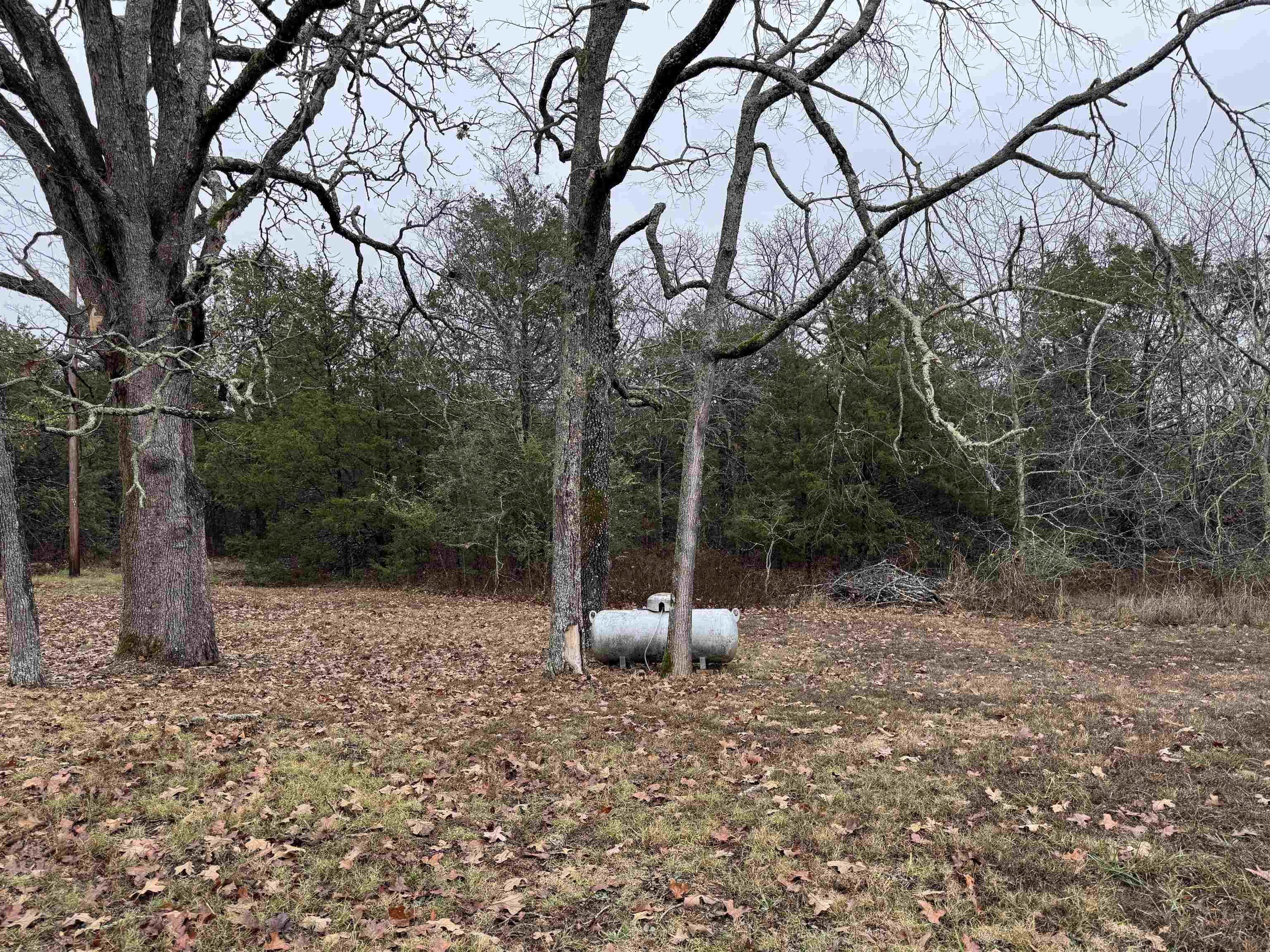 Photo 5 - Residential for sale – 410 N Cheyenne Drive   Horseshoe Bend, AR