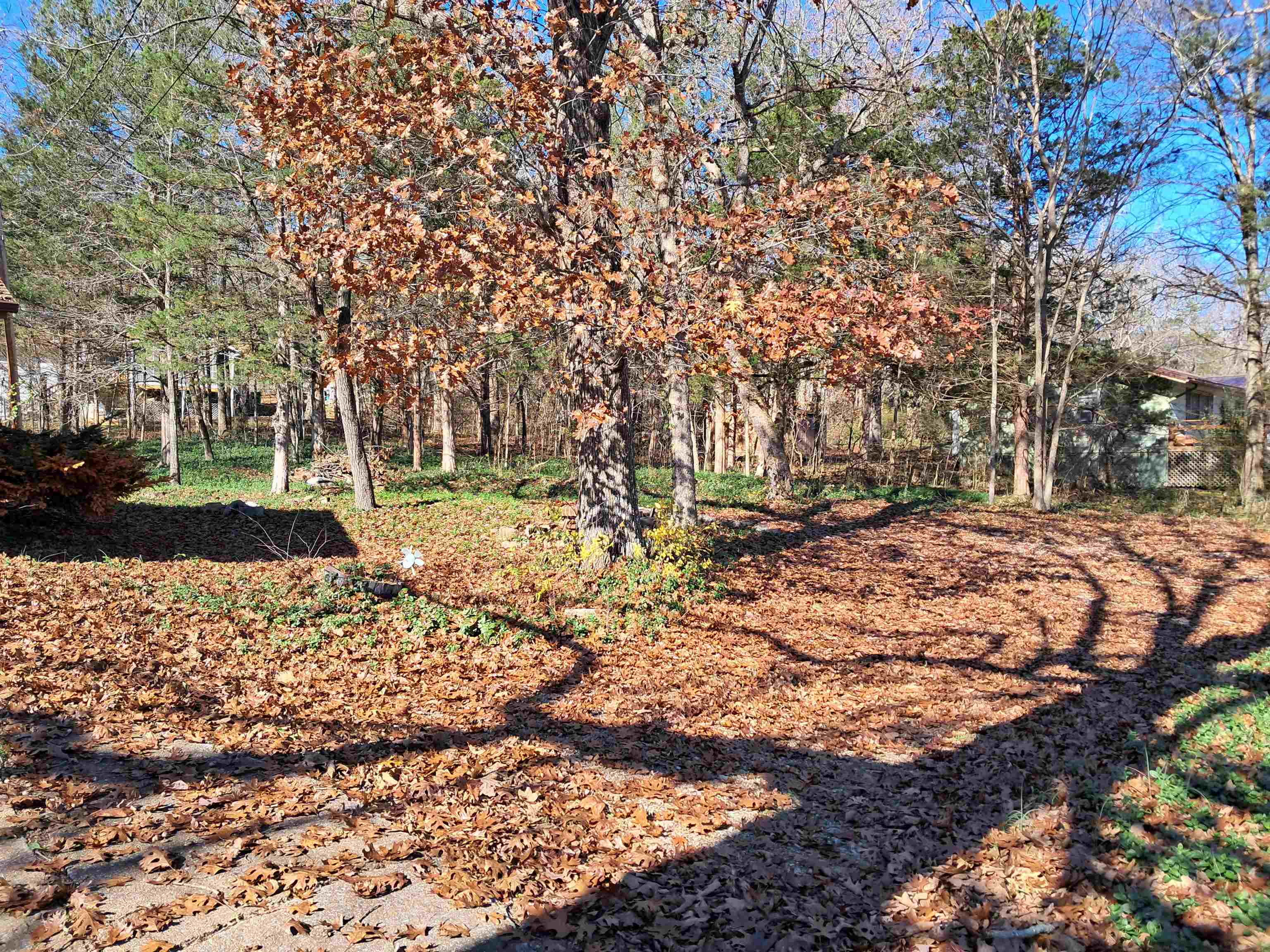 Photo 18 - Residential for sale – 35  Cherokee   Cherokee Village, AR