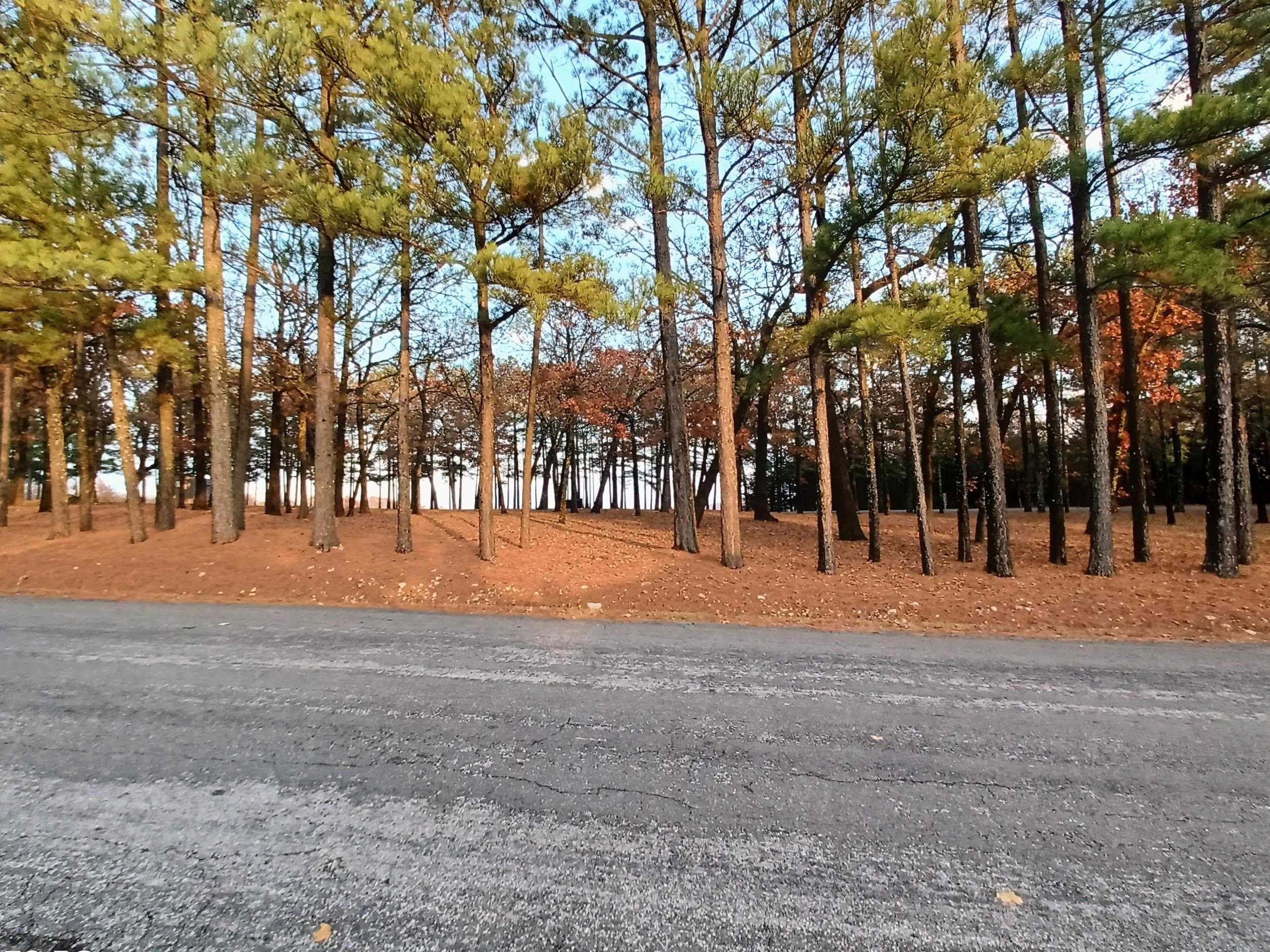 Photo 27 - Residential for sale – 305 S Nightingale   Horseshoe Bend, AR