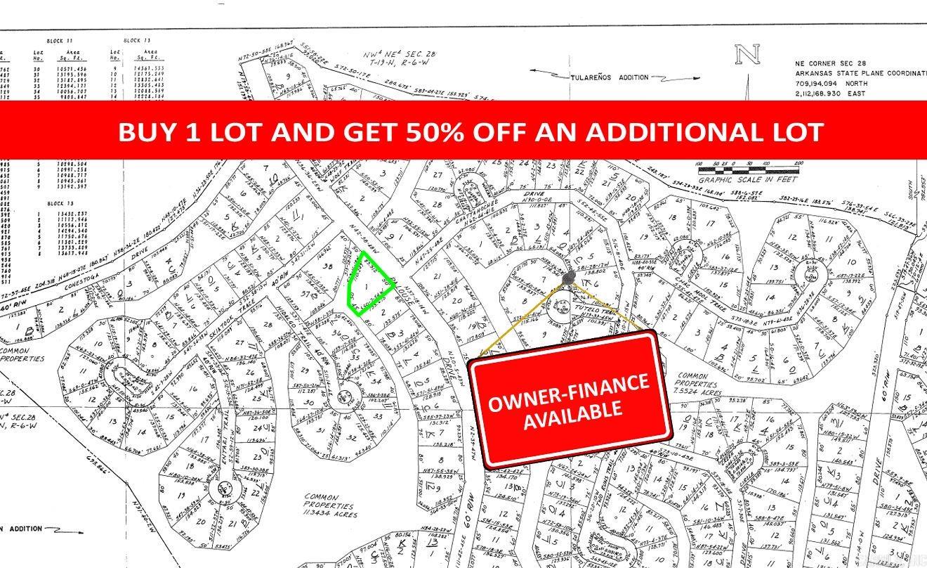 Photo 2 - Vacant Land for sale – Lot 1  Skiatook   Cherokee Village, AR