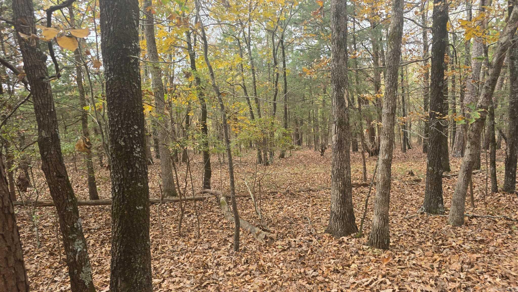 Photo 11 - Vacant Land for sale – 2135  Union Hill   Pleasant Plains, AR