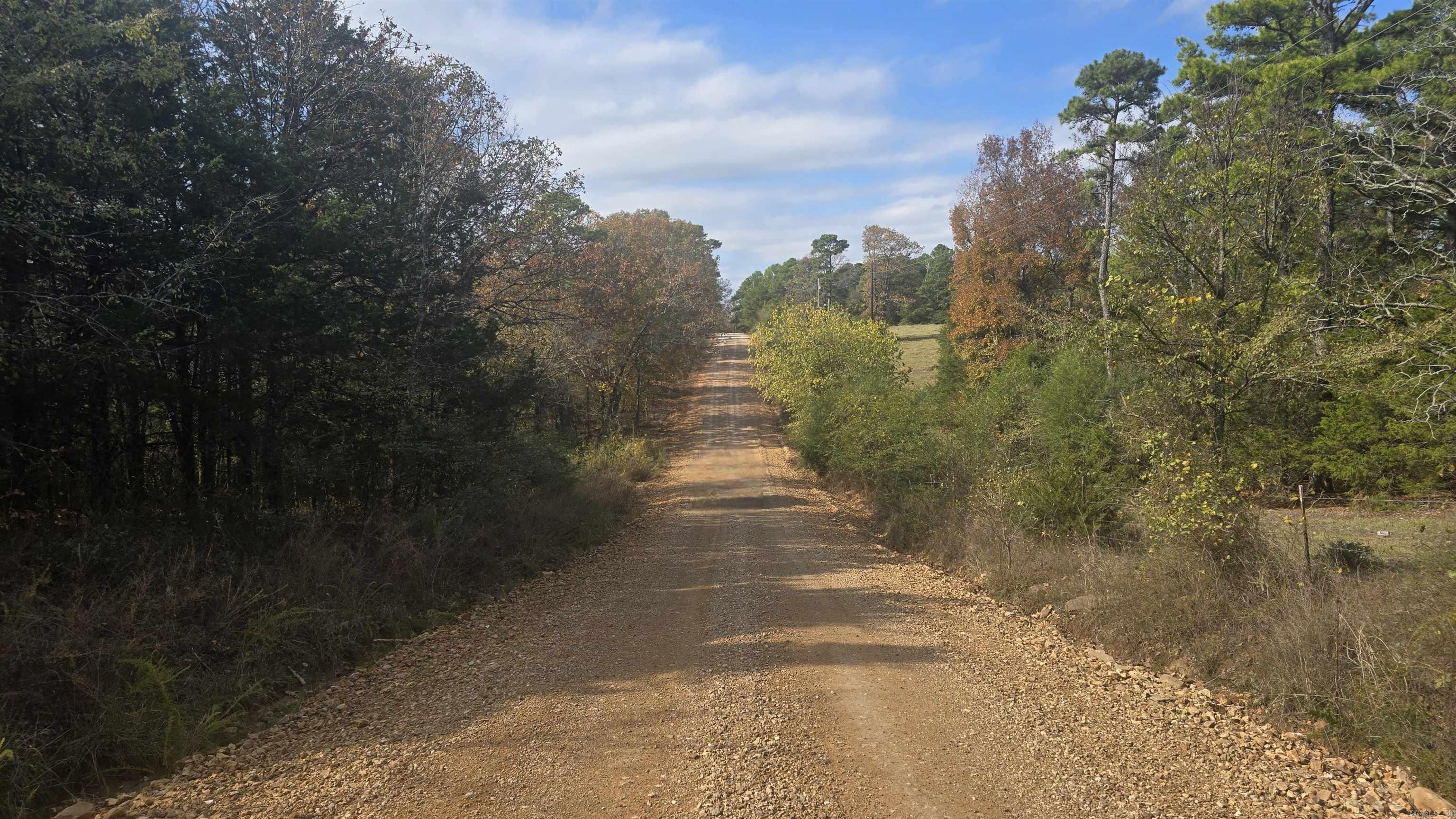 Photo 5 - Vacant Land for sale – 2135  Union Hill   Pleasant Plains, AR