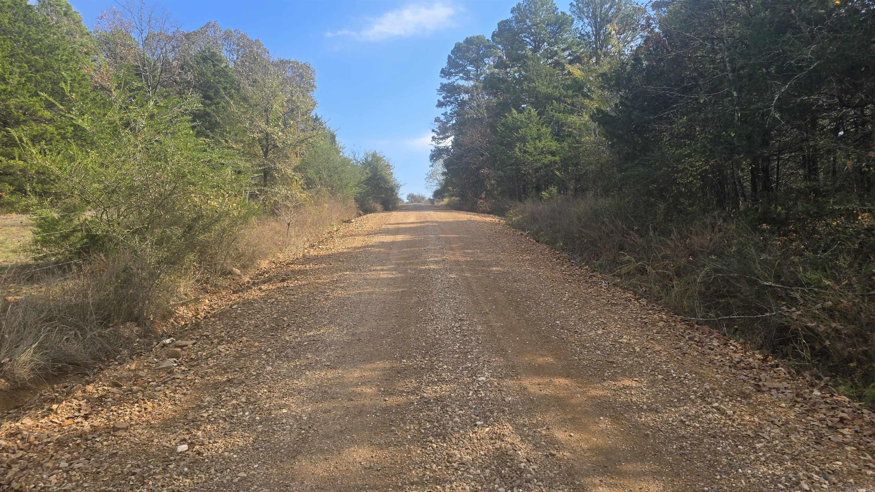 Photo 6 - Vacant Land for sale – 2135  Union Hill   Pleasant Plains, AR