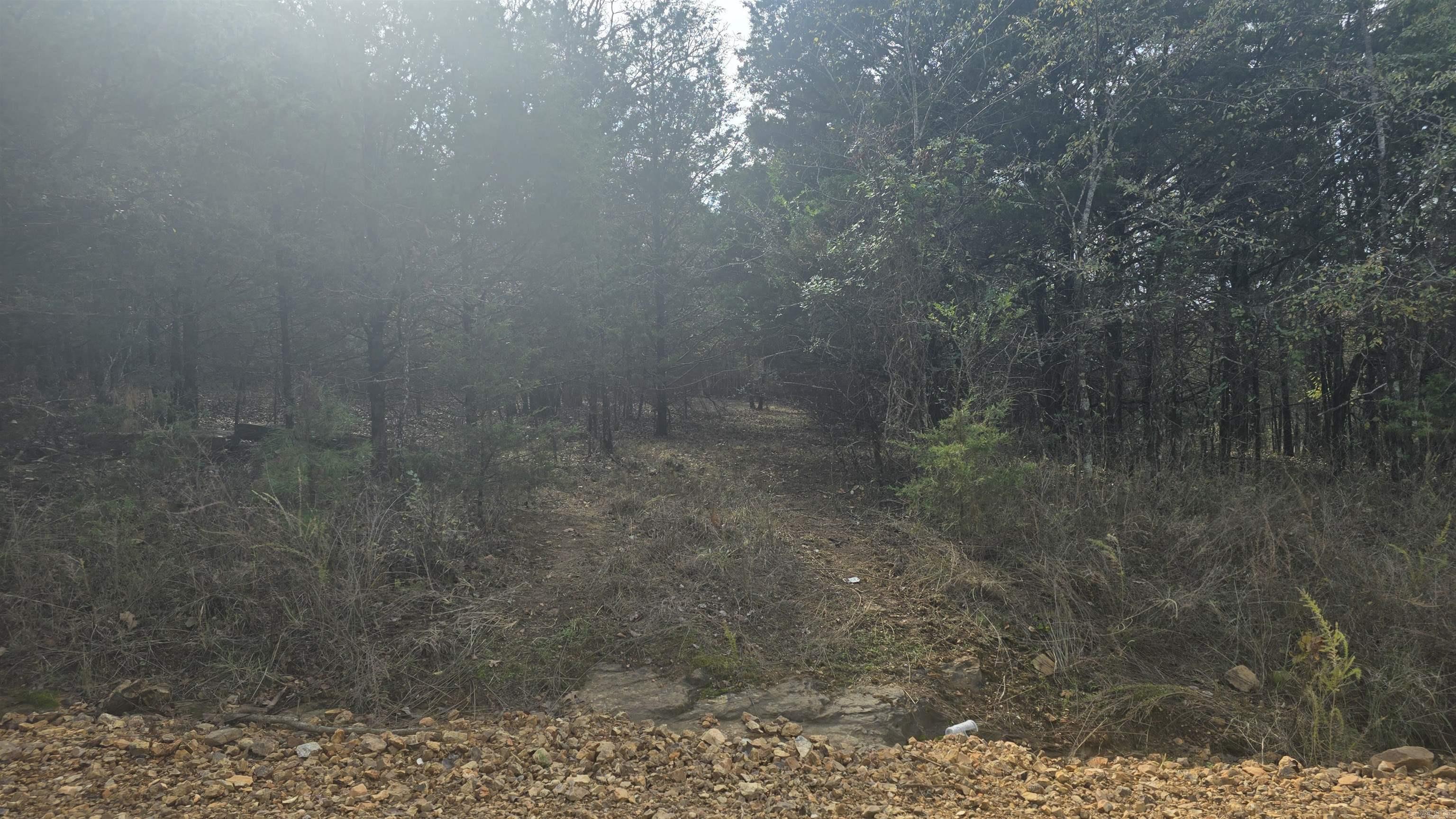 Photo 7 - Vacant Land for sale – 2135  Union Hill   Pleasant Plains, AR