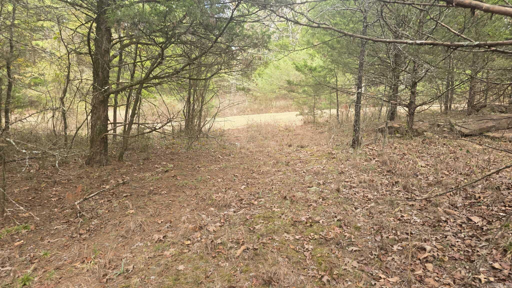 Photo 8 - Vacant Land for sale – 2135  Union Hill   Pleasant Plains, AR