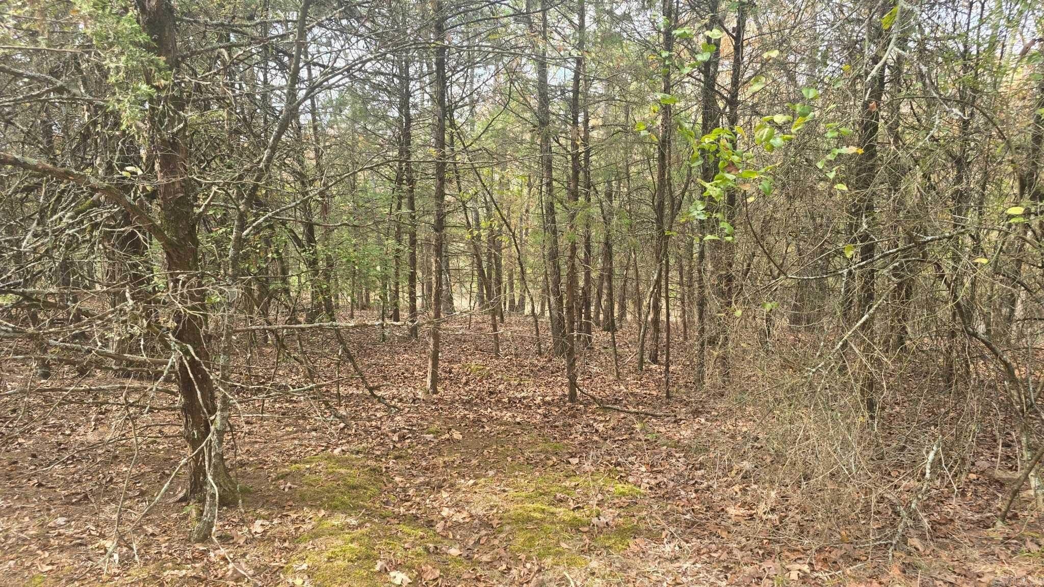 Photo 9 - Vacant Land for sale – 2135  Union Hill   Pleasant Plains, AR