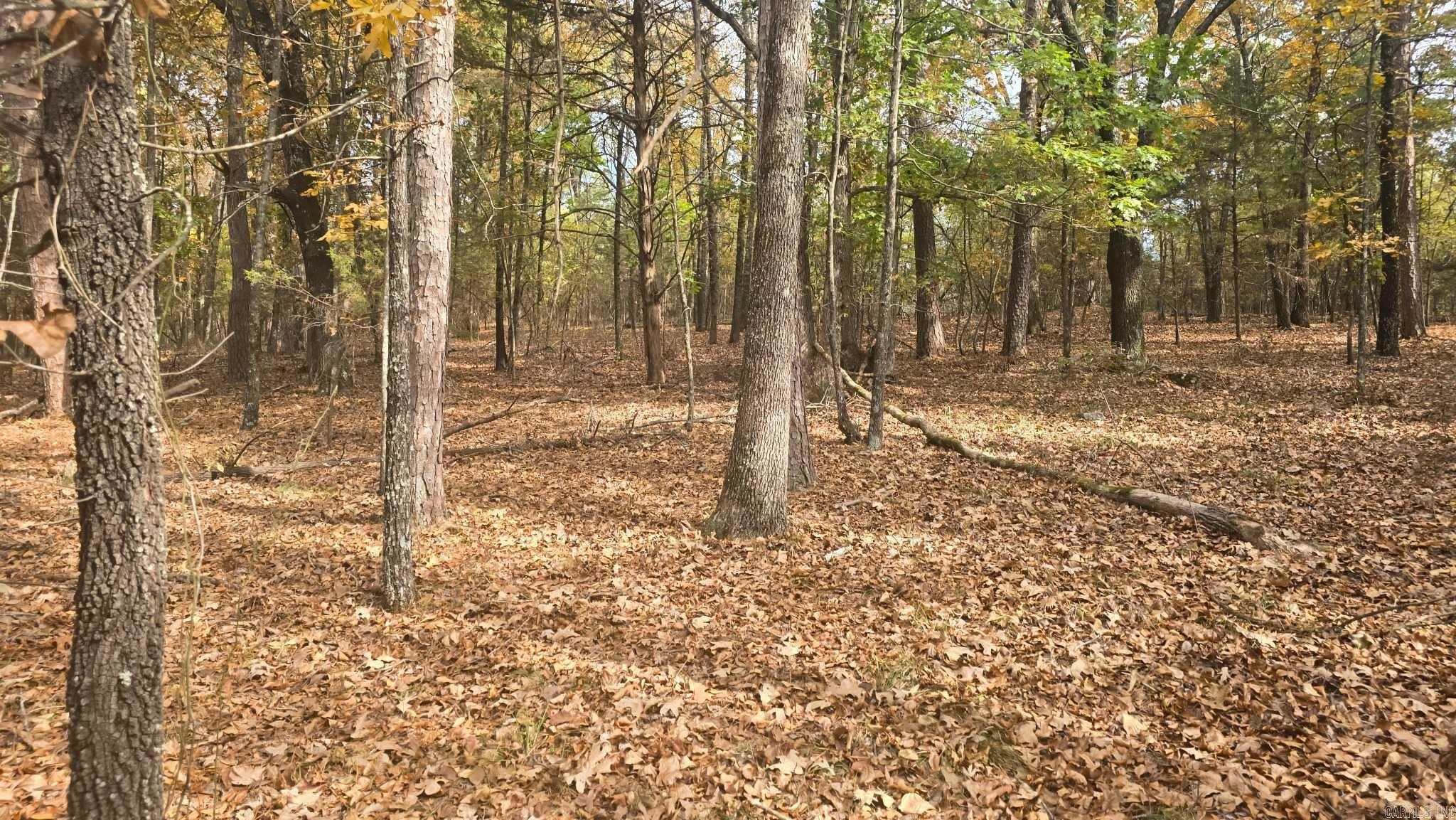 Photo 10 - Vacant Land for sale – 2135  Union Hill   Pleasant Plains, AR