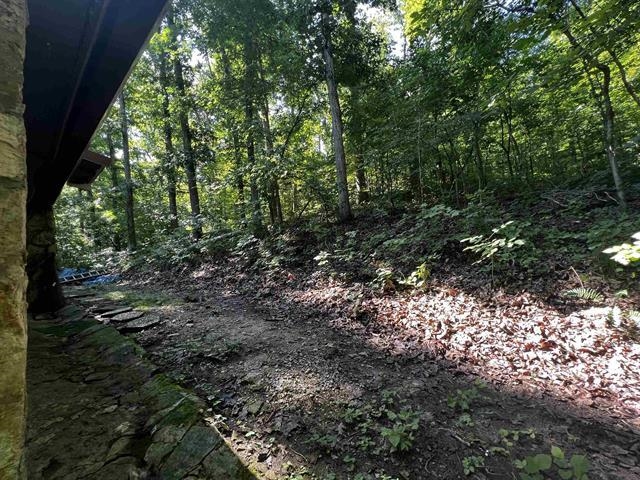 Photo 14 - Residential for sale – 167  Wahpeton Hill   Hardy, AR