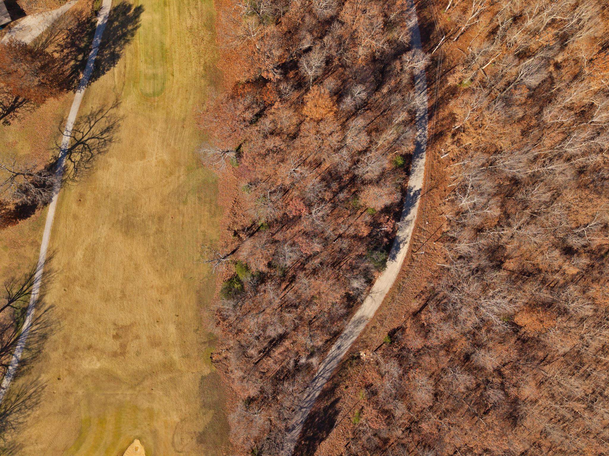 Photo 4 - Vacant Land for sale –   Katsina   Cherokee Village, AR