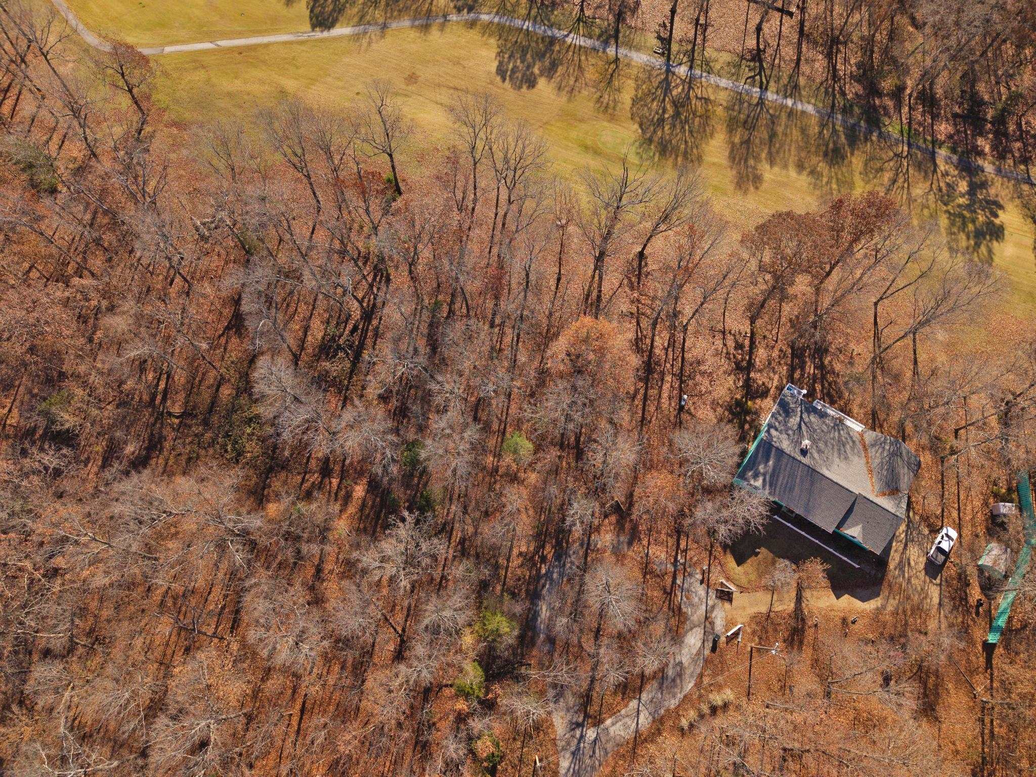 Photo 3 - Vacant Land for sale –   Tahlasi   Cherokee Village, AR