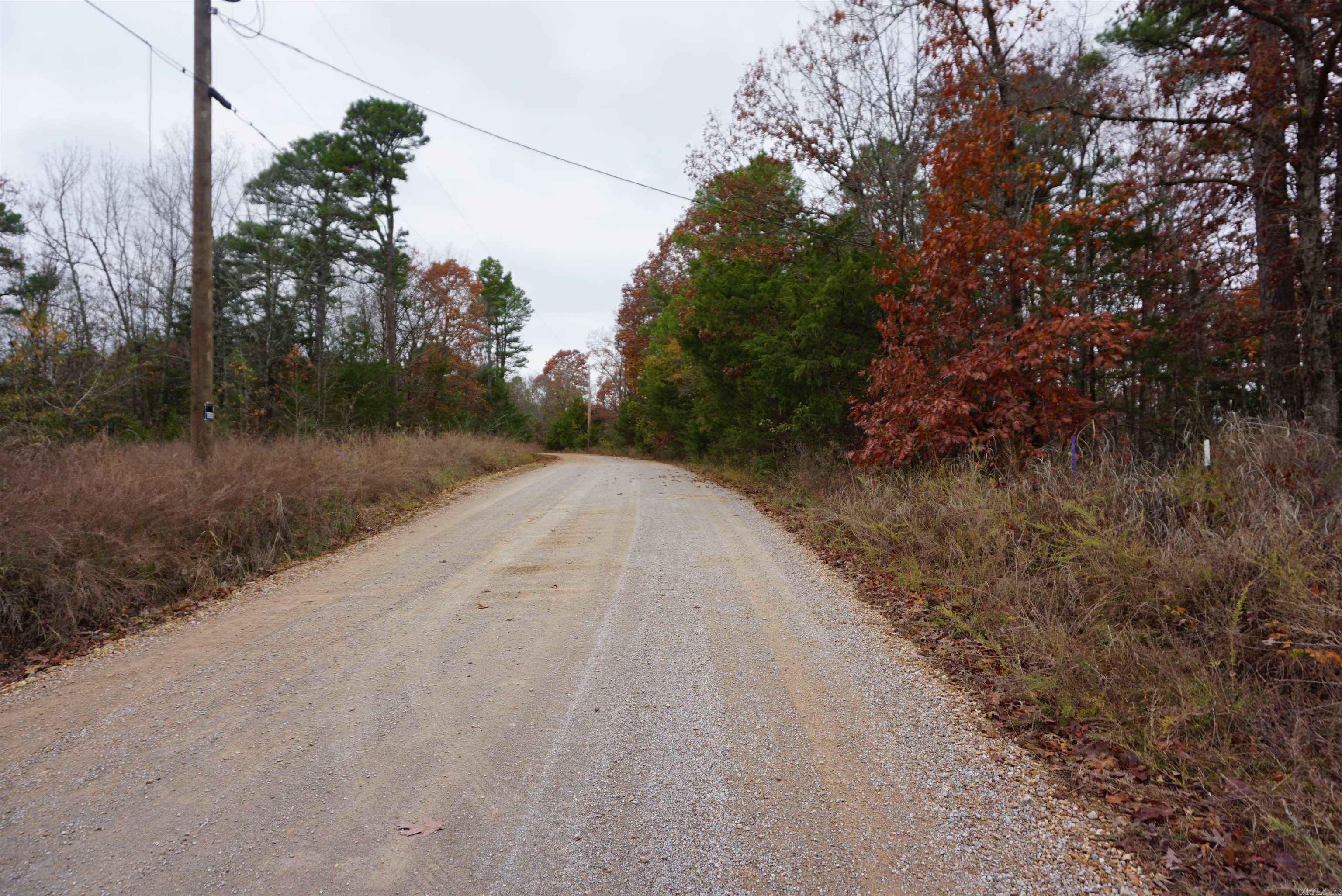 Photo 11 - Vacant Land for sale – 000  Union Hill Road   Pleasant Plains, AR