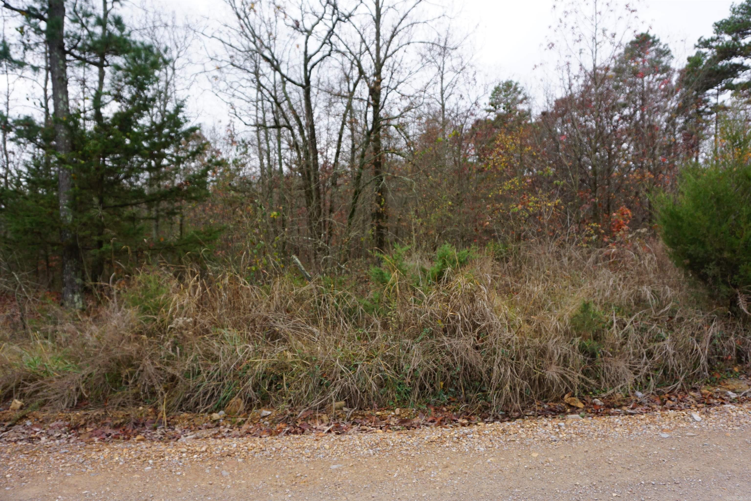 Photo 12 - Vacant Land for sale – 000  Union Hill Road   Pleasant Plains, AR