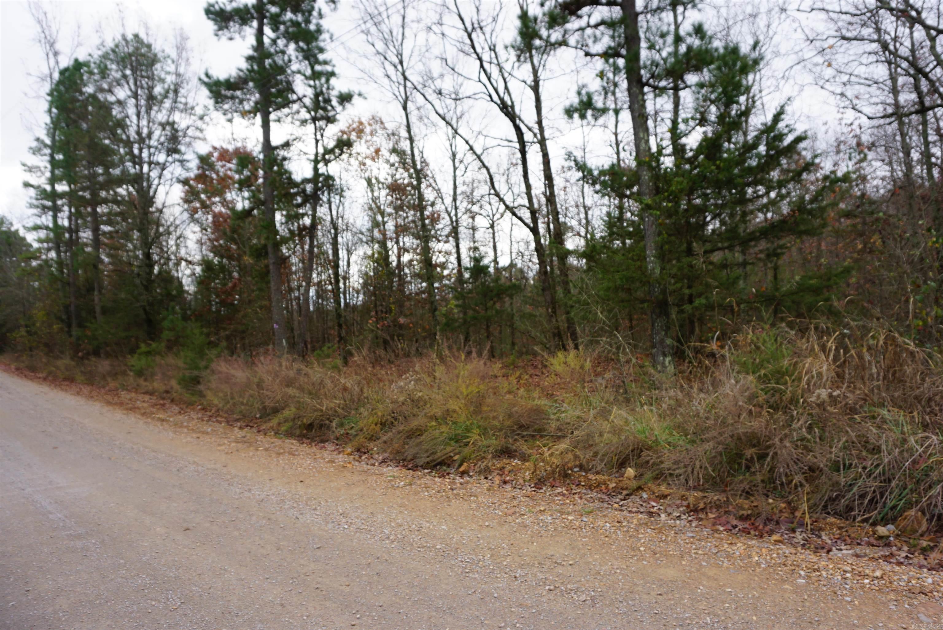 Photo 13 - Vacant Land for sale – 000  Union Hill Road   Pleasant Plains, AR