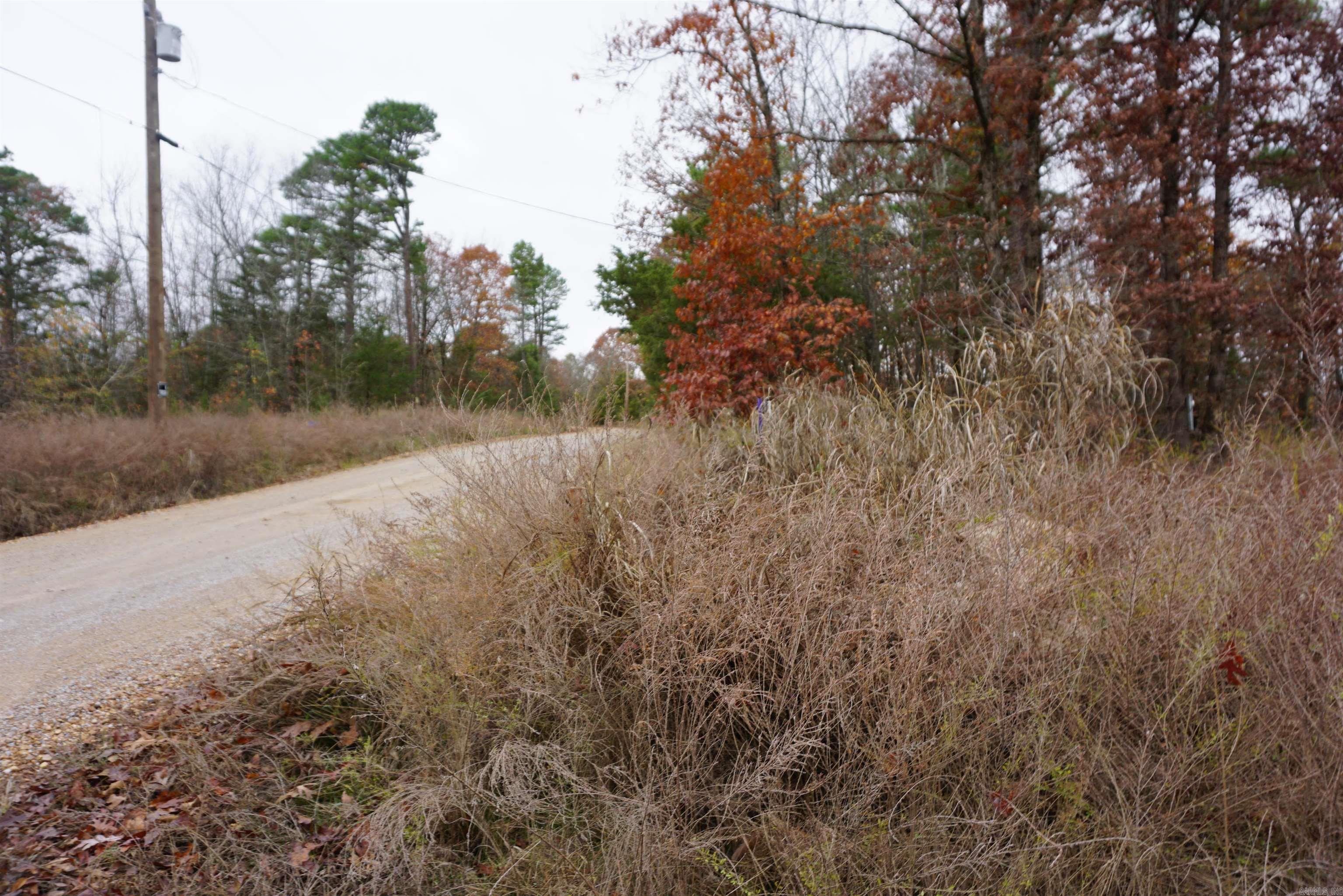 Photo 14 - Vacant Land for sale – 000  Union Hill Road   Pleasant Plains, AR