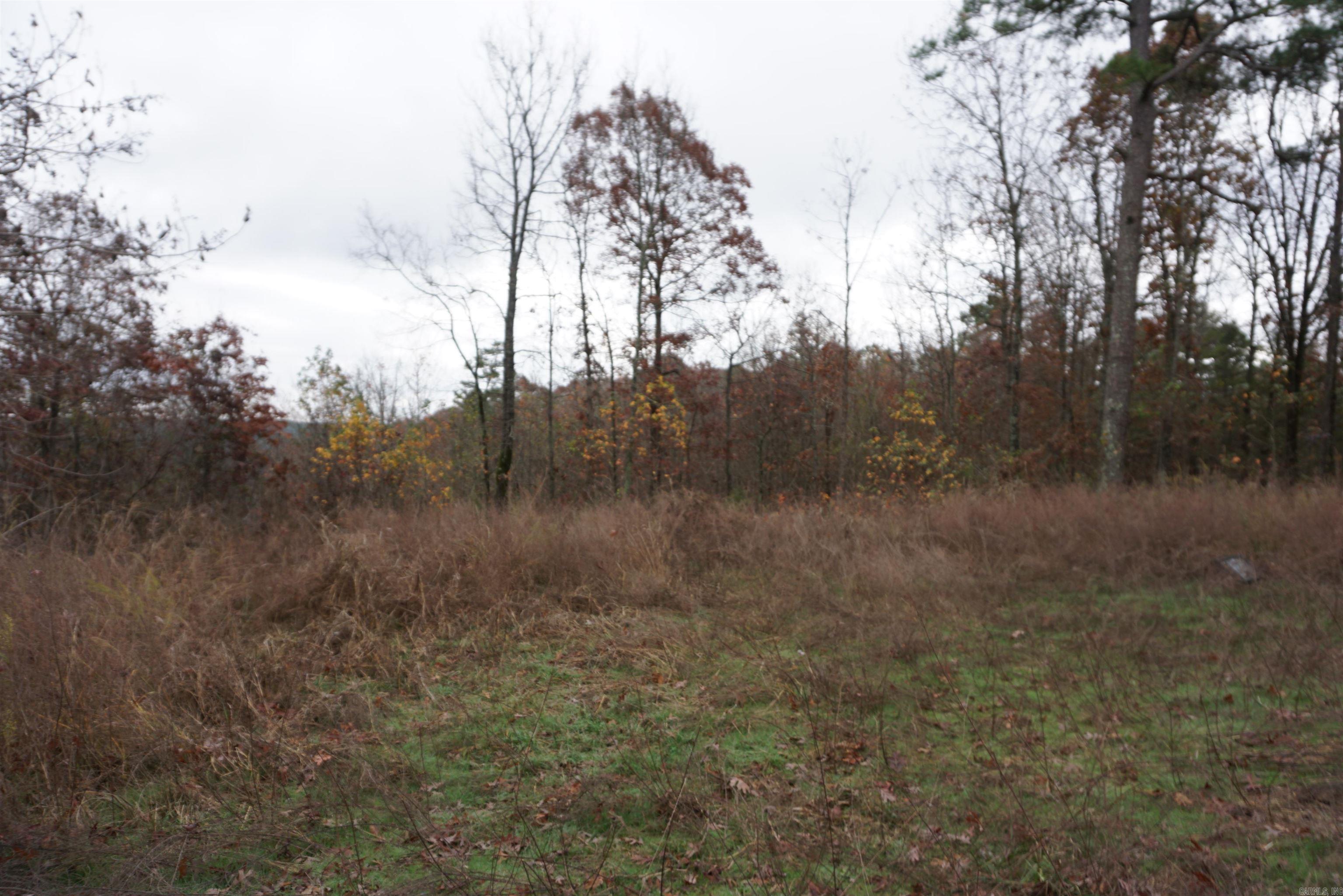Photo 15 - Vacant Land for sale – 000  Union Hill Road   Pleasant Plains, AR