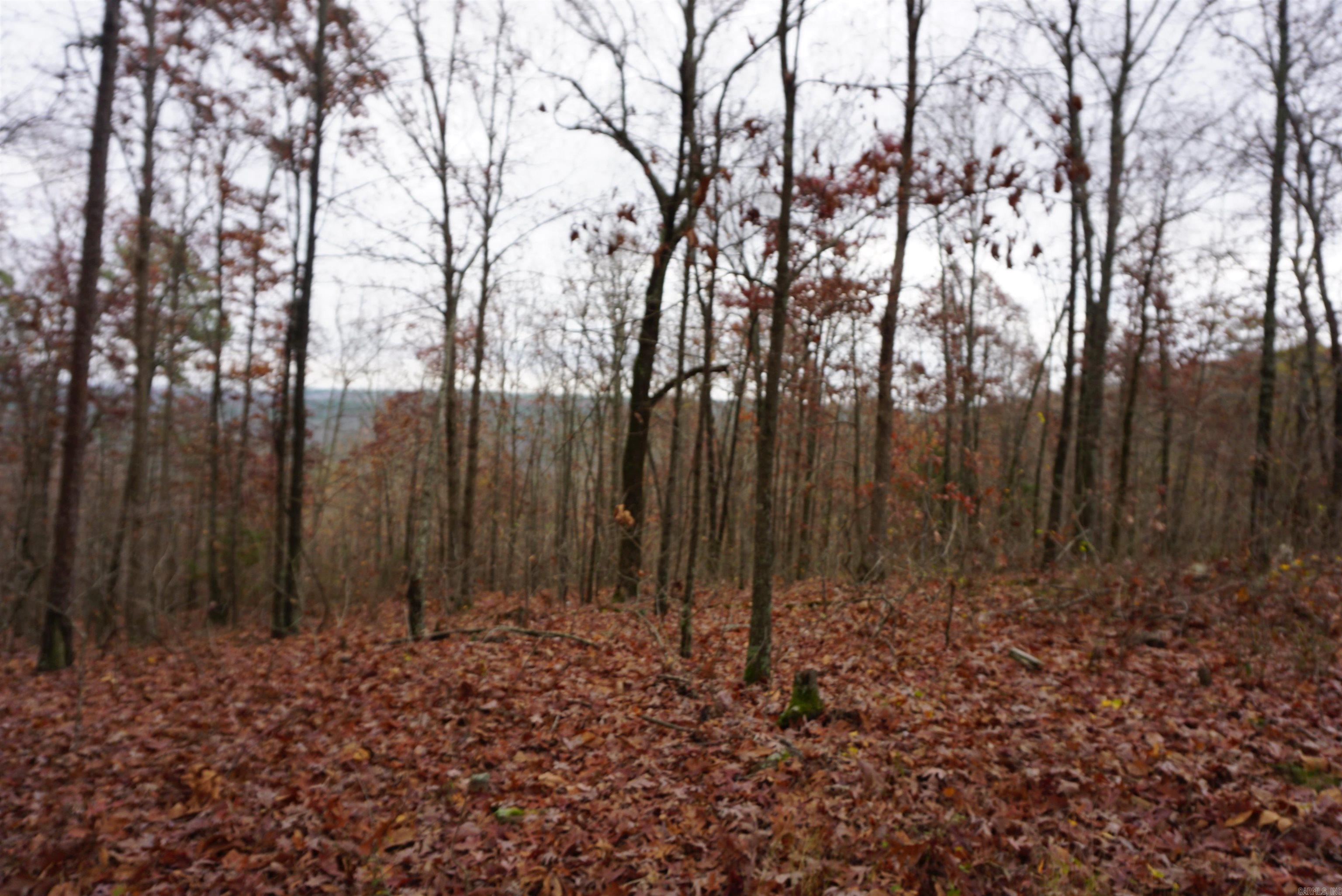 Photo 17 - Vacant Land for sale – 000  Union Hill Road   Pleasant Plains, AR