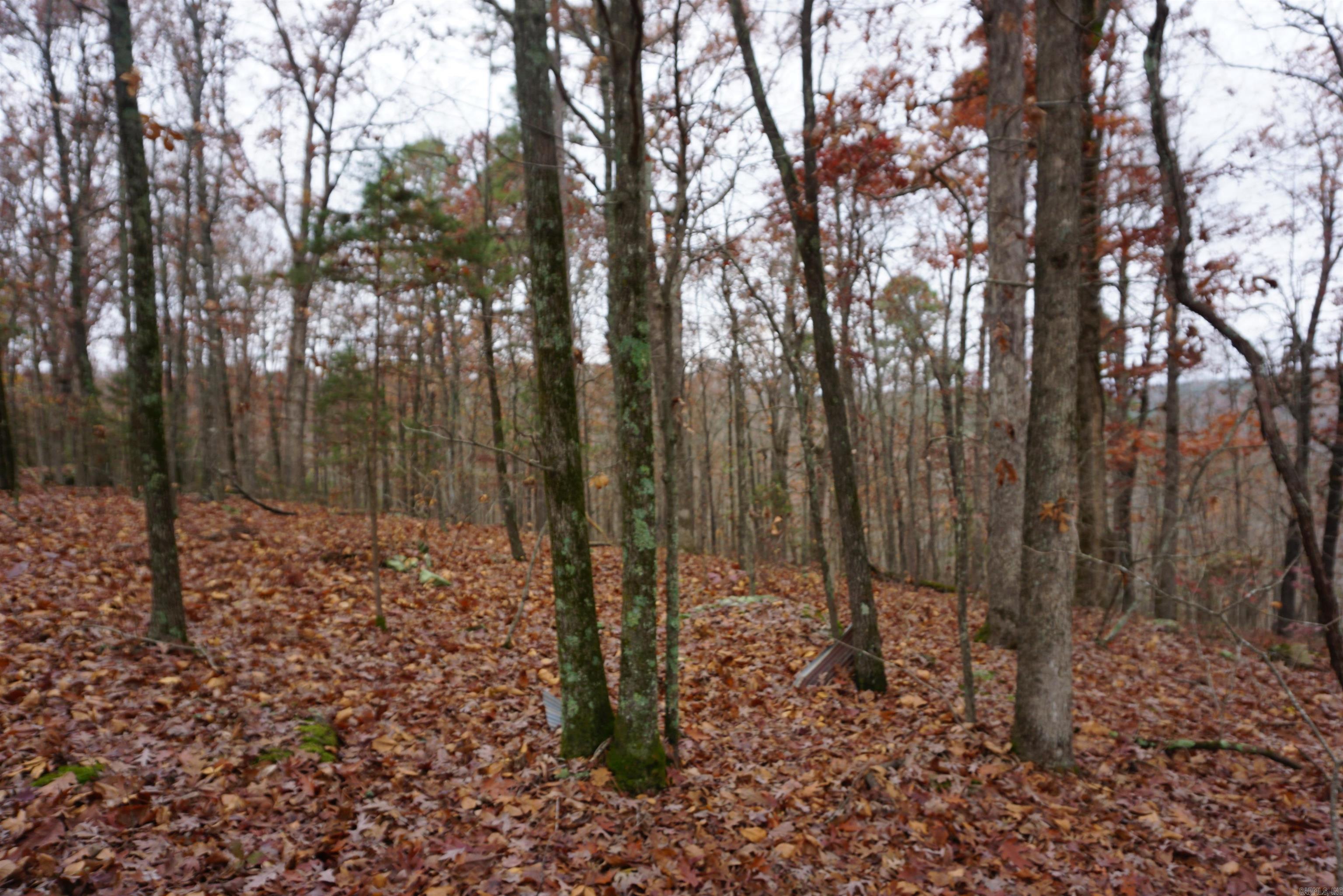 Photo 19 - Vacant Land for sale – 000  Union Hill Road   Pleasant Plains, AR