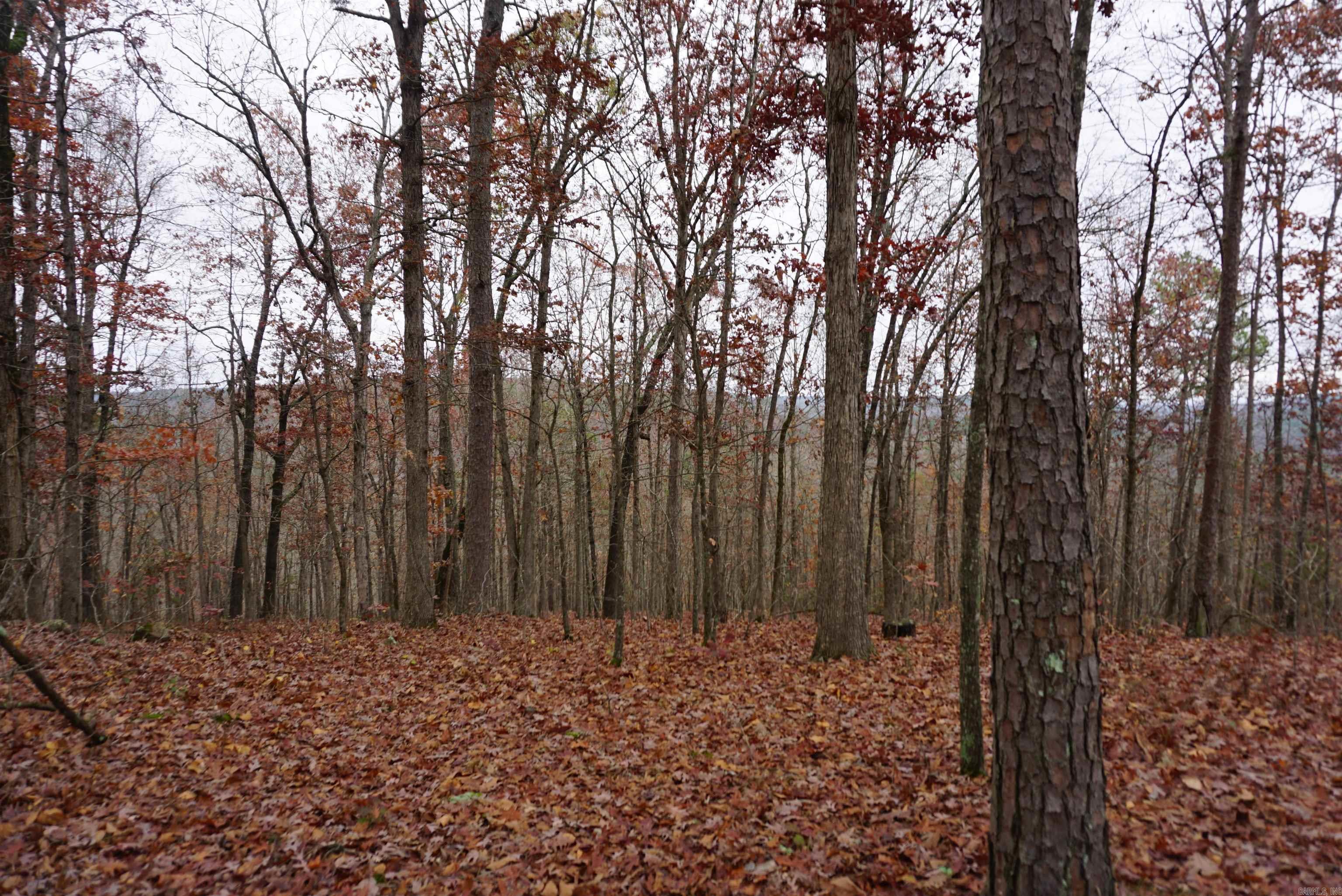 Photo 20 - Vacant Land for sale – 000  Union Hill Road   Pleasant Plains, AR