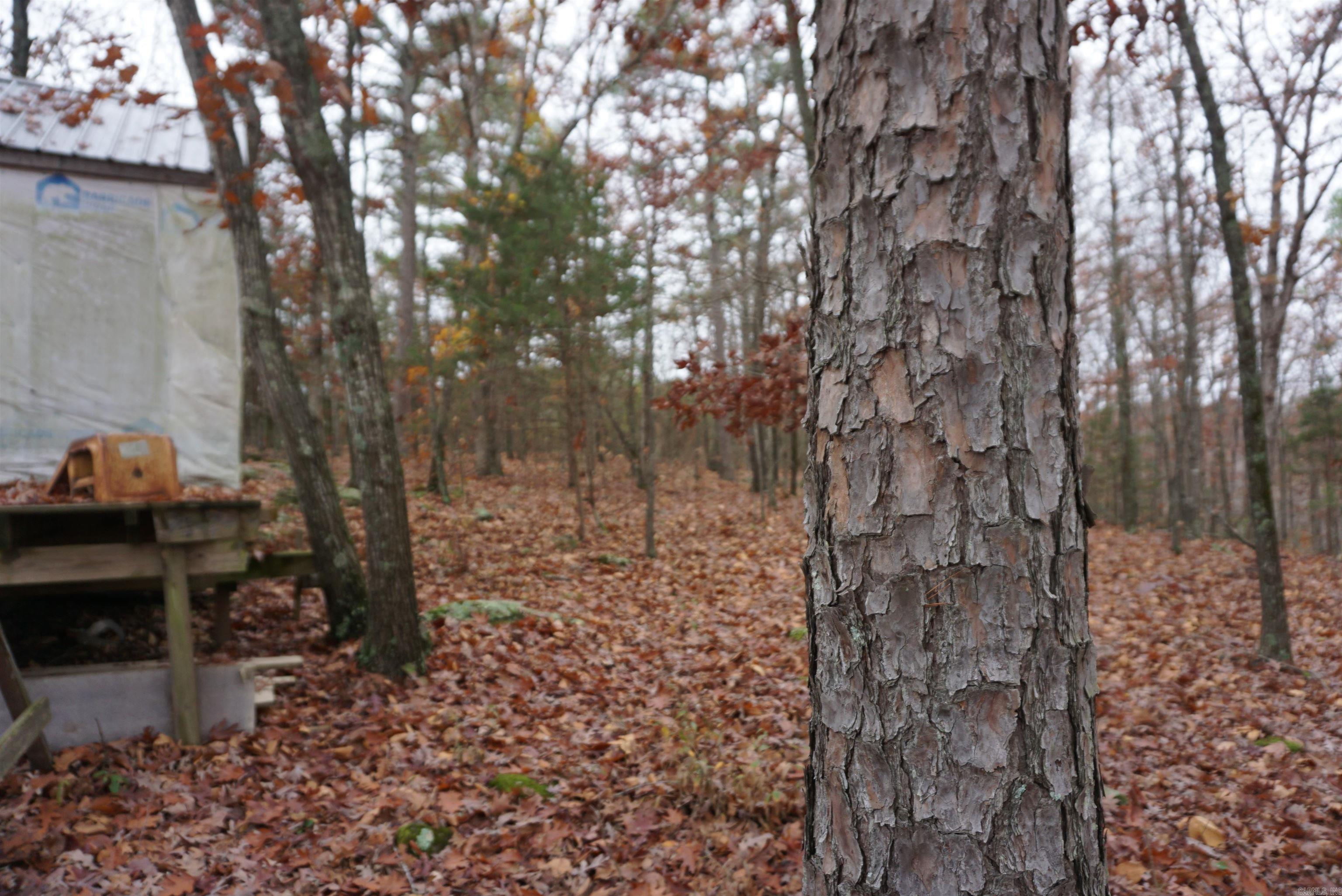 Photo 3 - Vacant Land for sale – 000  Union Hill Road   Pleasant Plains, AR