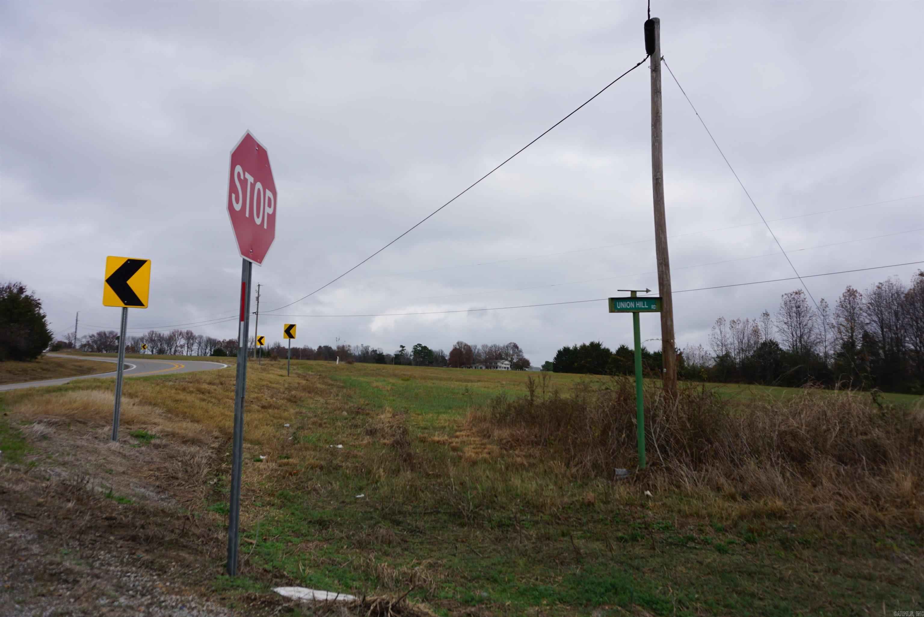 Photo 21 - Vacant Land for sale – 000  Union Hill Road   Pleasant Plains, AR