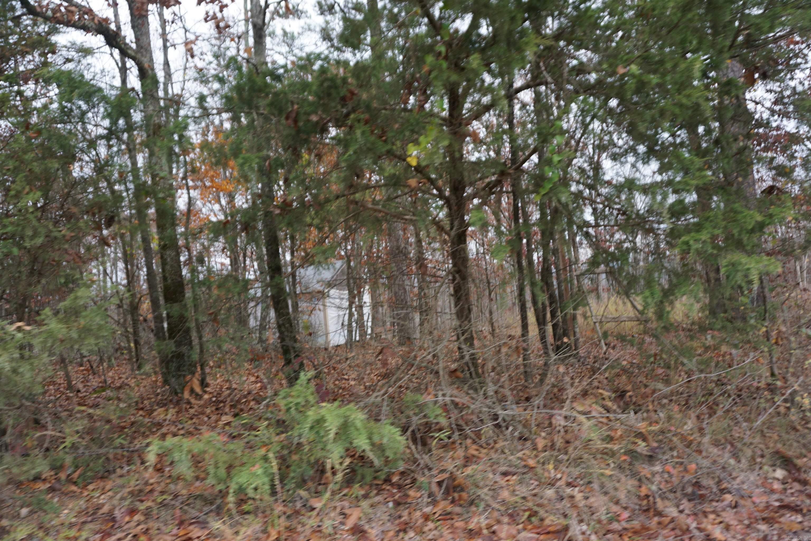 Photo 4 - Vacant Land for sale – 000  Union Hill Road   Pleasant Plains, AR