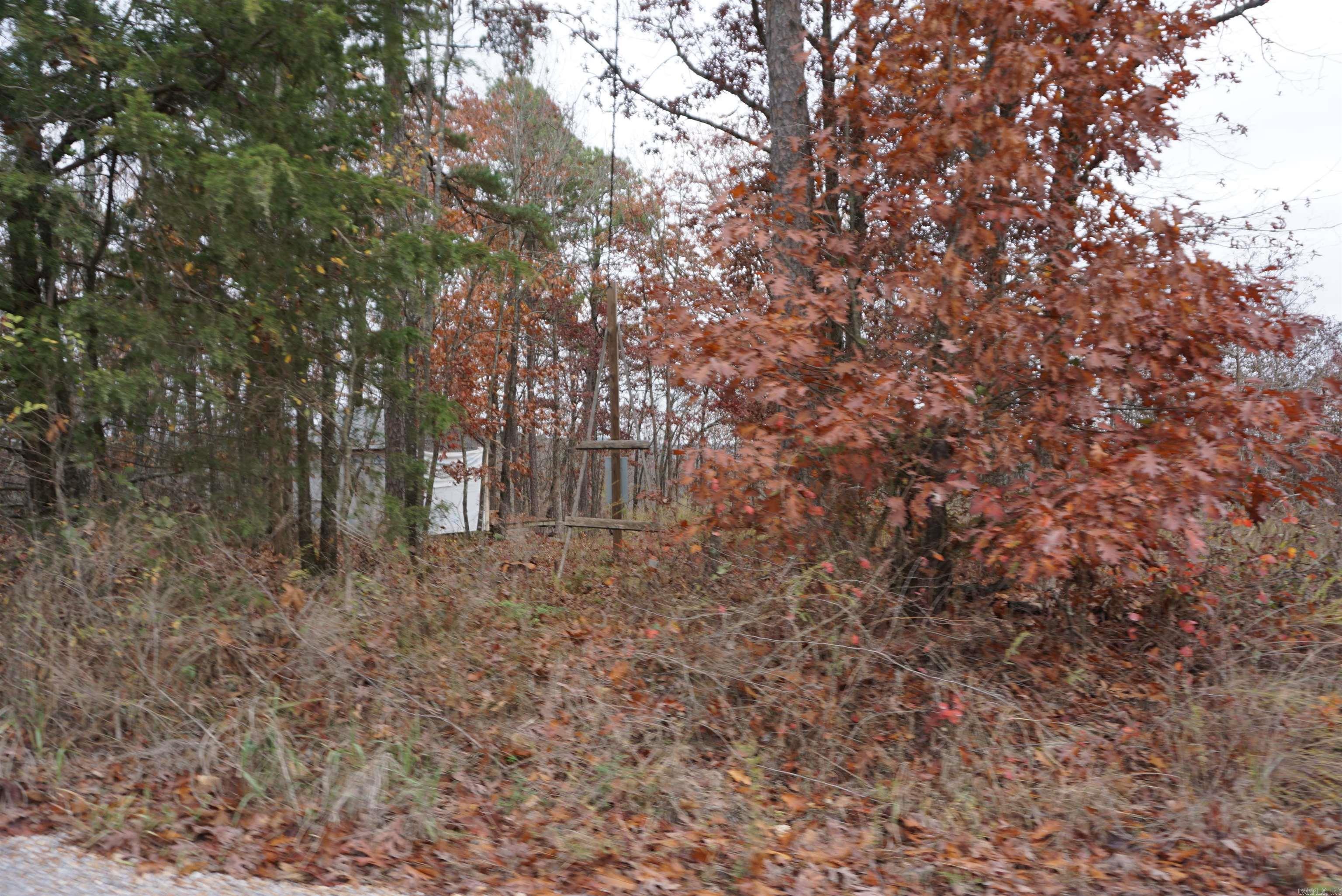 Photo 5 - Vacant Land for sale – 000  Union Hill Road   Pleasant Plains, AR