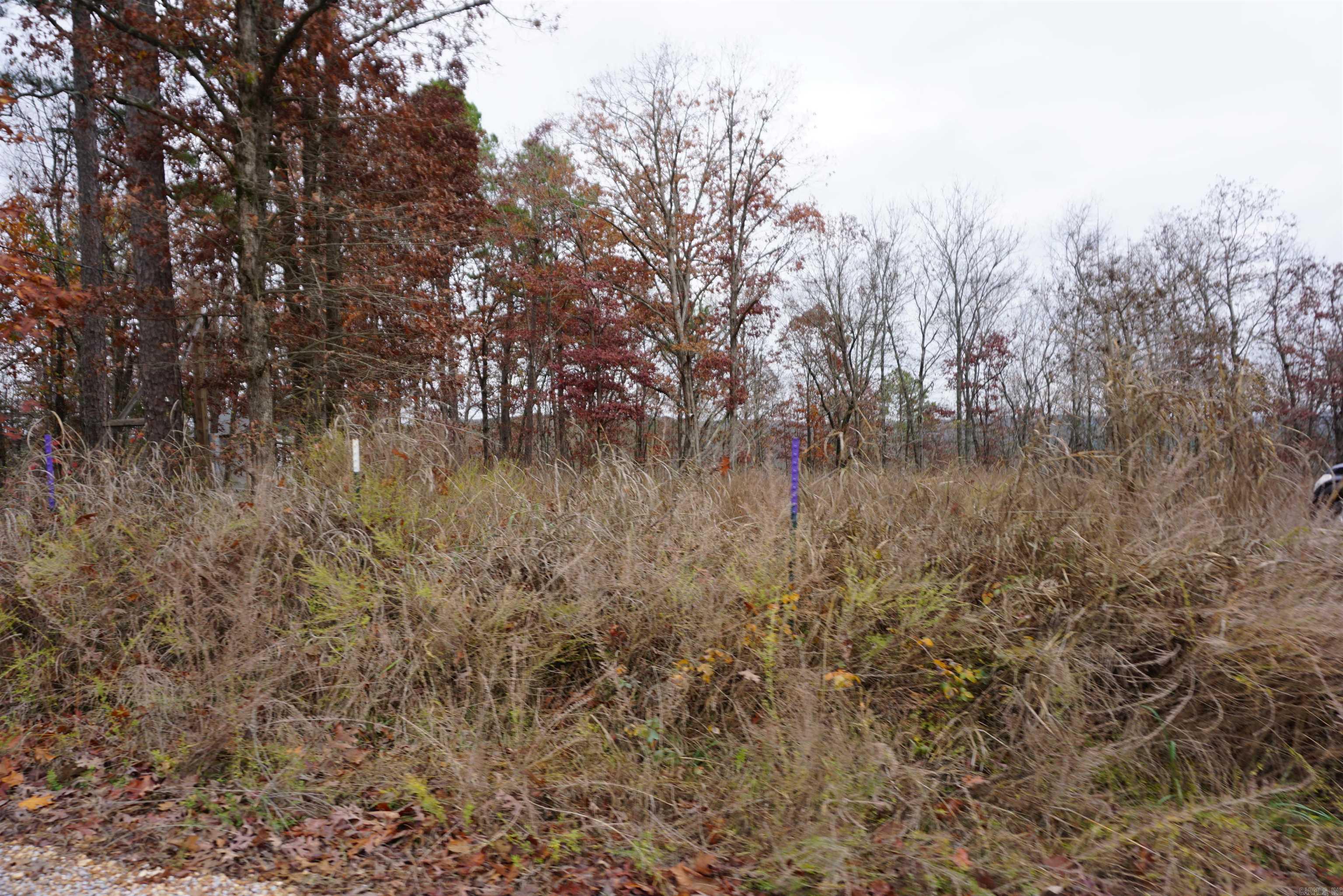 Photo 6 - Vacant Land for sale – 000  Union Hill Road   Pleasant Plains, AR