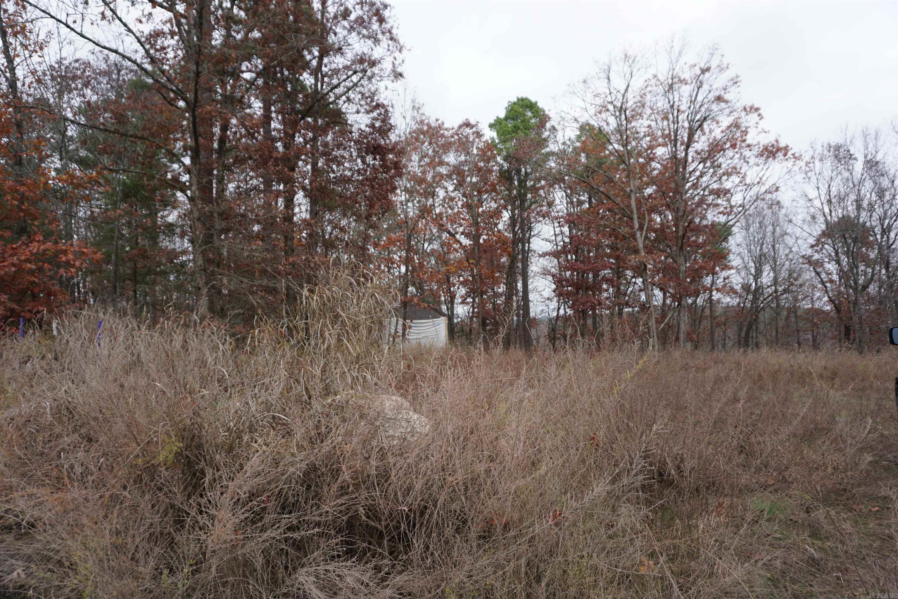 Photo 7 - Vacant Land for sale – 000  Union Hill Road   Pleasant Plains, AR