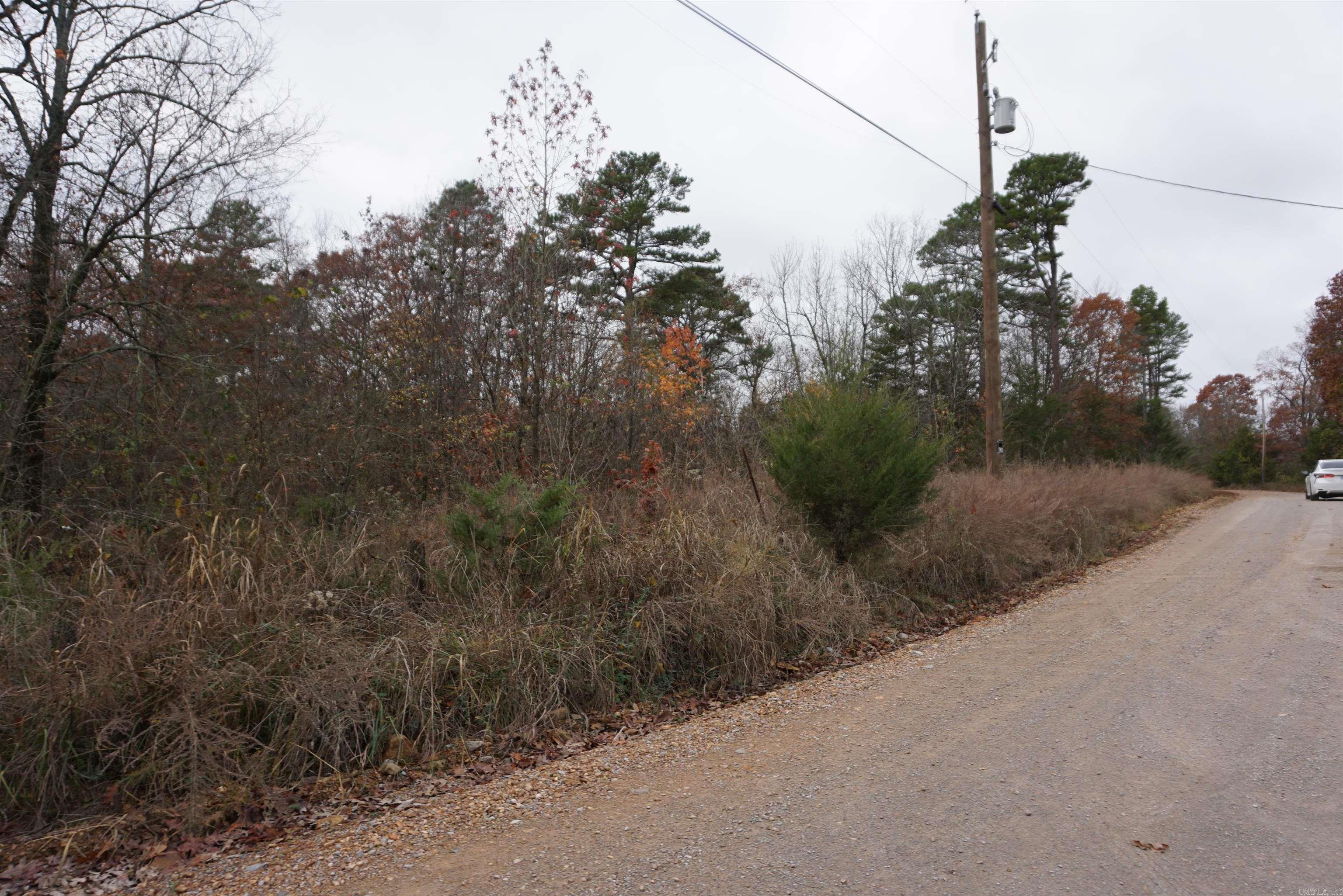 Photo 8 - Vacant Land for sale – 000  Union Hill Road   Pleasant Plains, AR