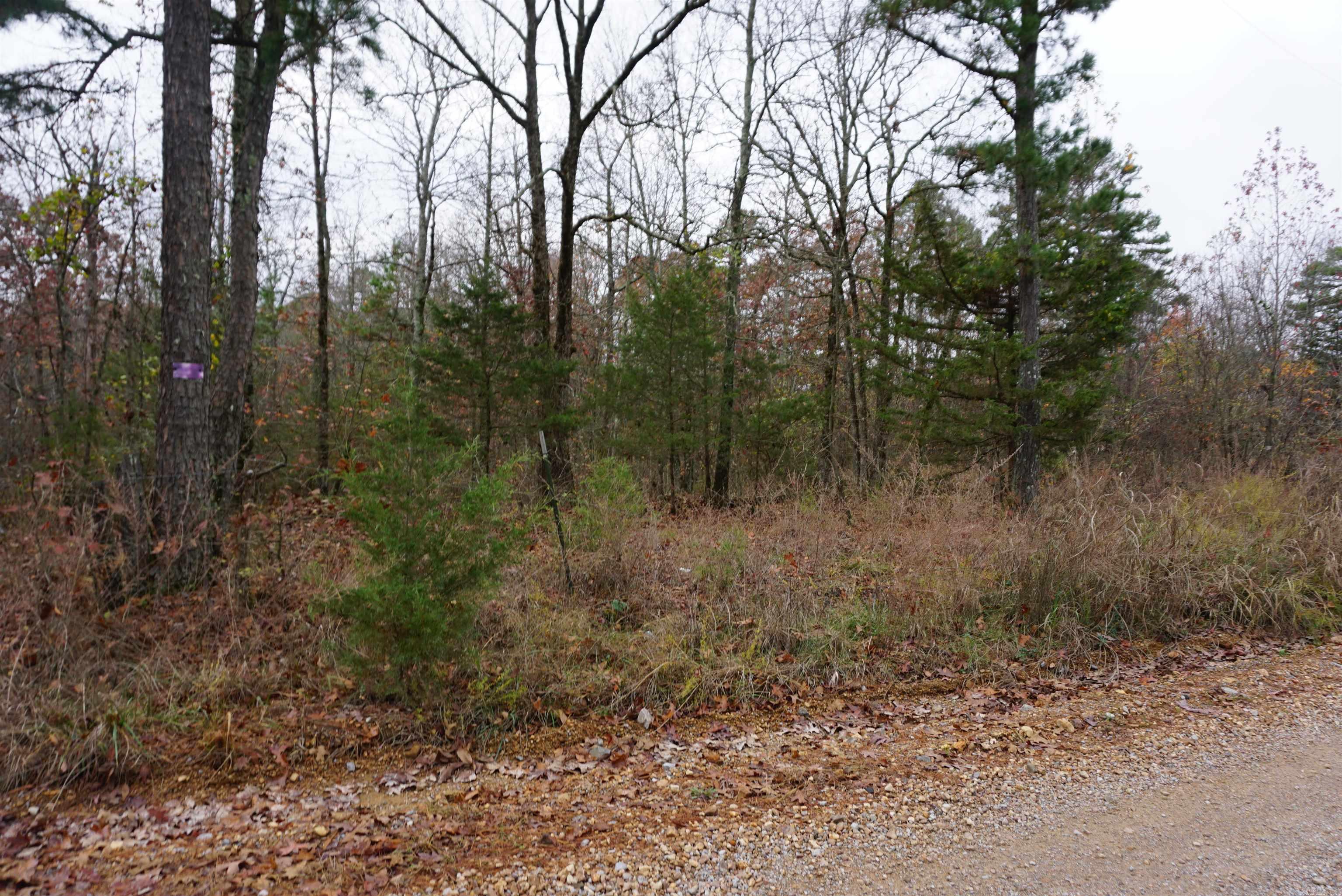 Photo 9 - Vacant Land for sale – 000  Union Hill Road   Pleasant Plains, AR