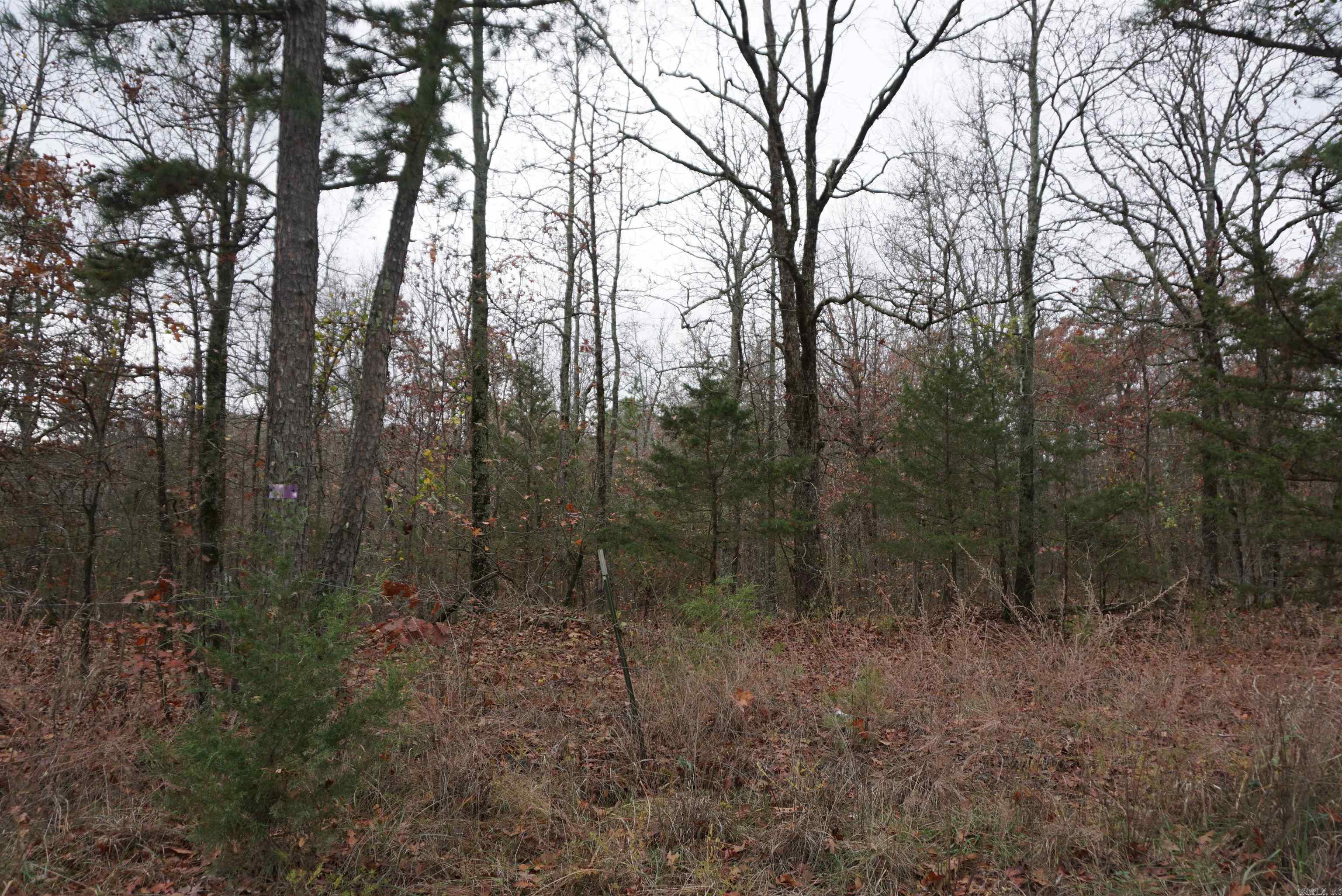 Photo 10 - Vacant Land for sale – 000  Union Hill Road   Pleasant Plains, AR