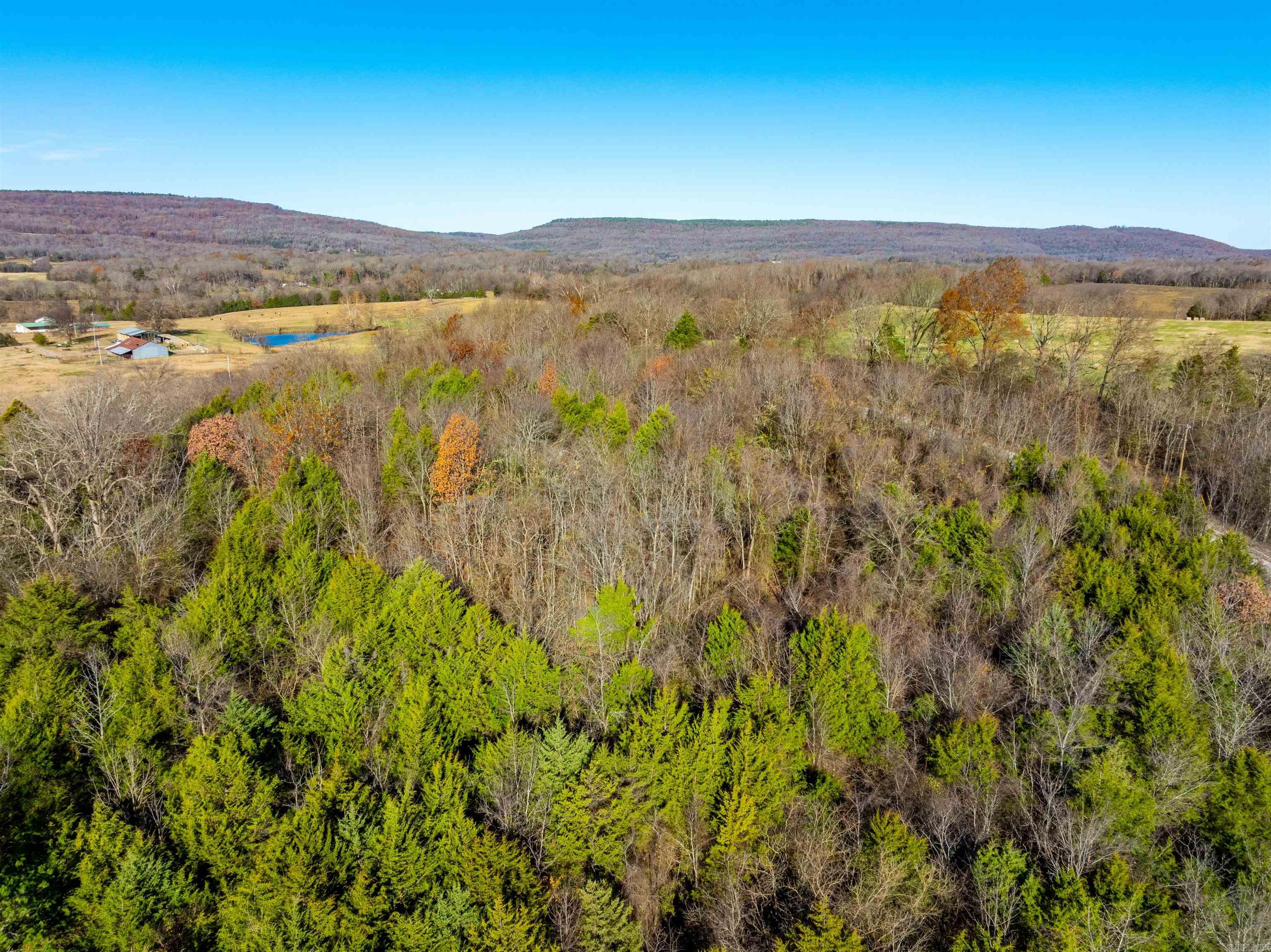 Photo 13 - Vacant Land for sale – 0  Country Oaks Rd   Locust Grove, AR