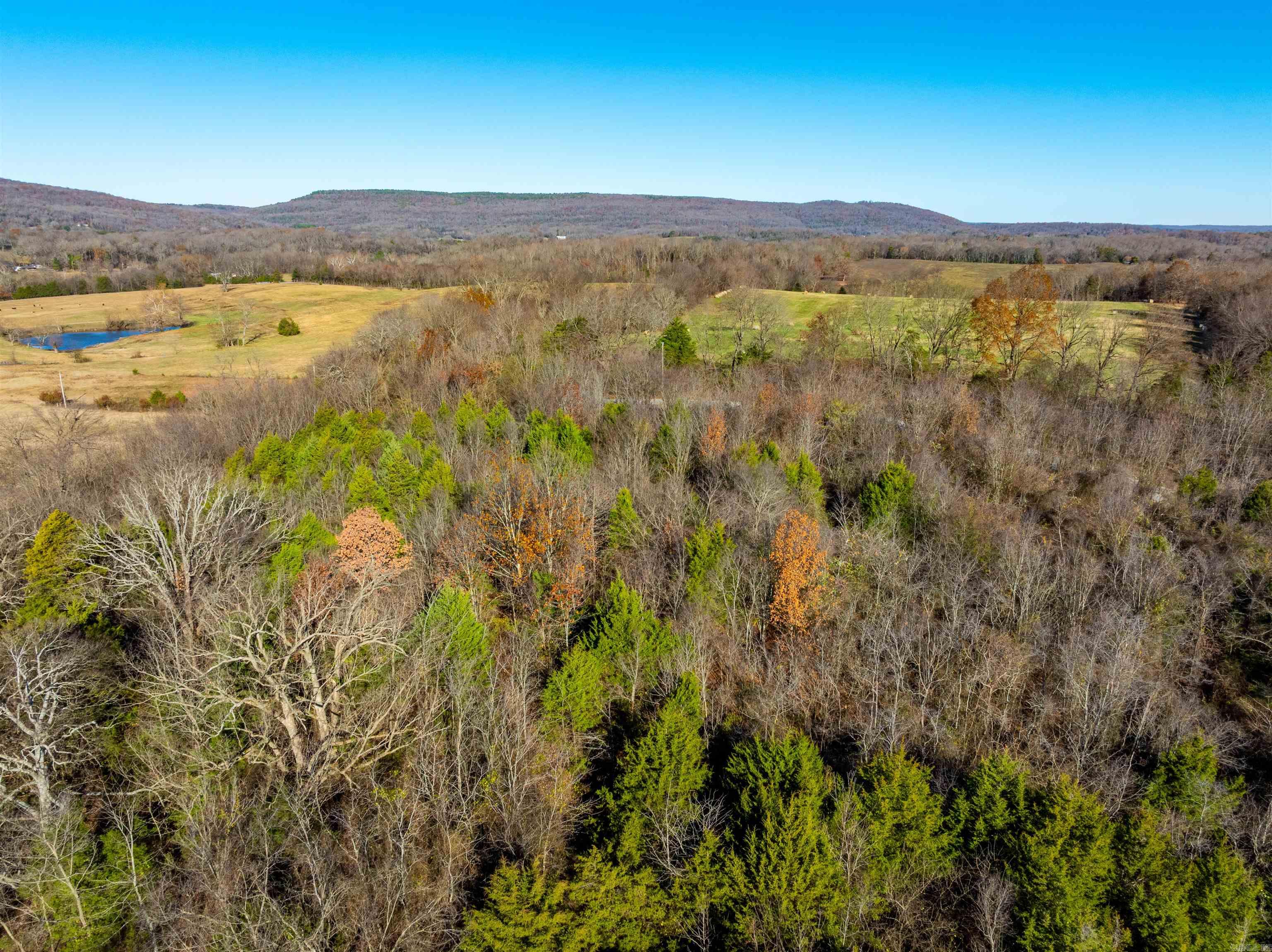 Photo 14 - Vacant Land for sale – 0  Country Oaks Rd   Locust Grove, AR