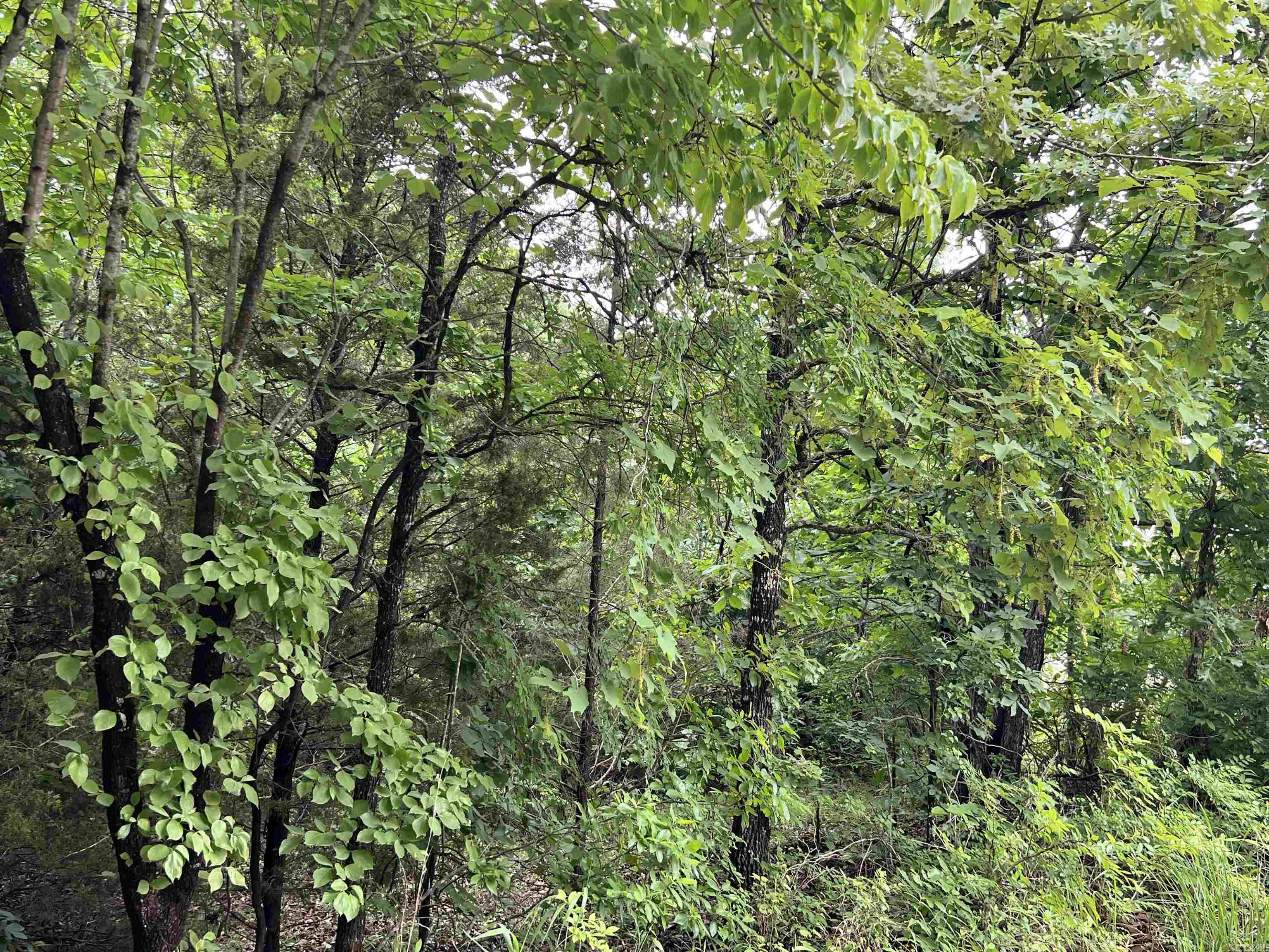 Vacant Land for sale – 000  Hwy 63 S   Mammoth Spring, AR