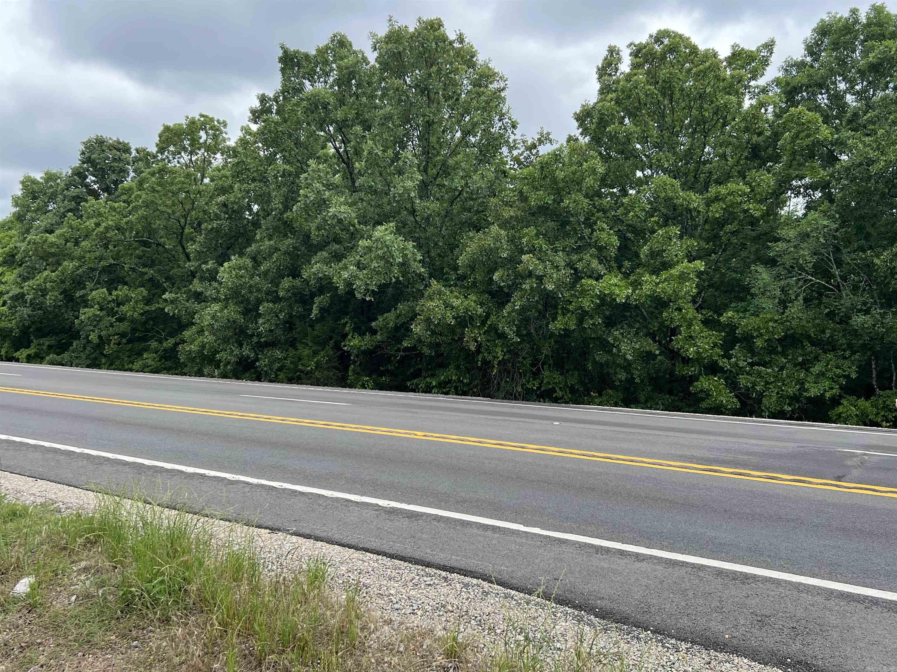 Photo 4 - Vacant Land for sale – 000  Hwy 63 S   Mammoth Spring, AR
