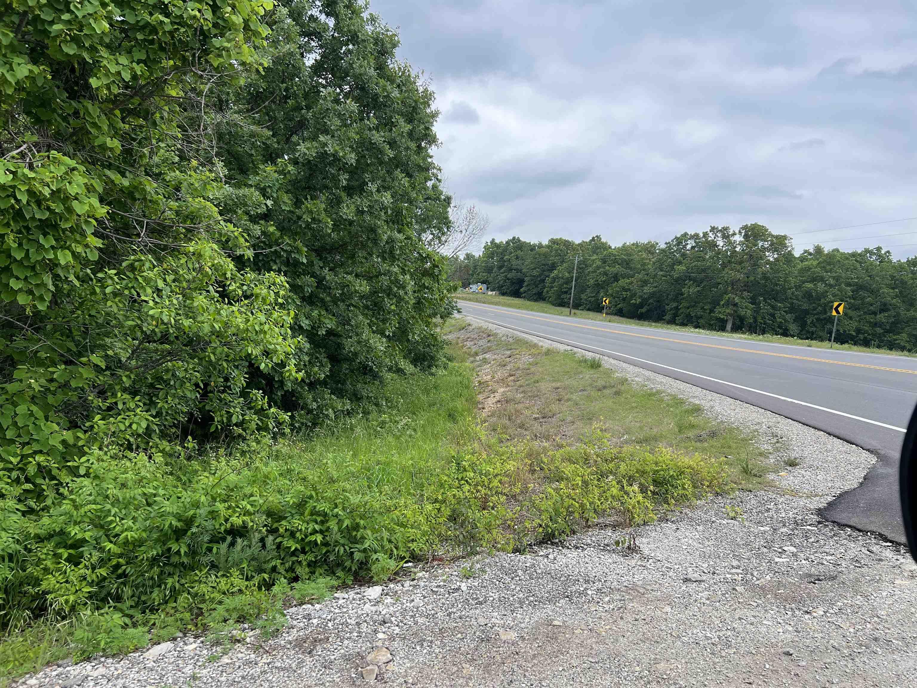 Photo 5 - Vacant Land for sale – 000  Hwy 63 S   Mammoth Spring, AR