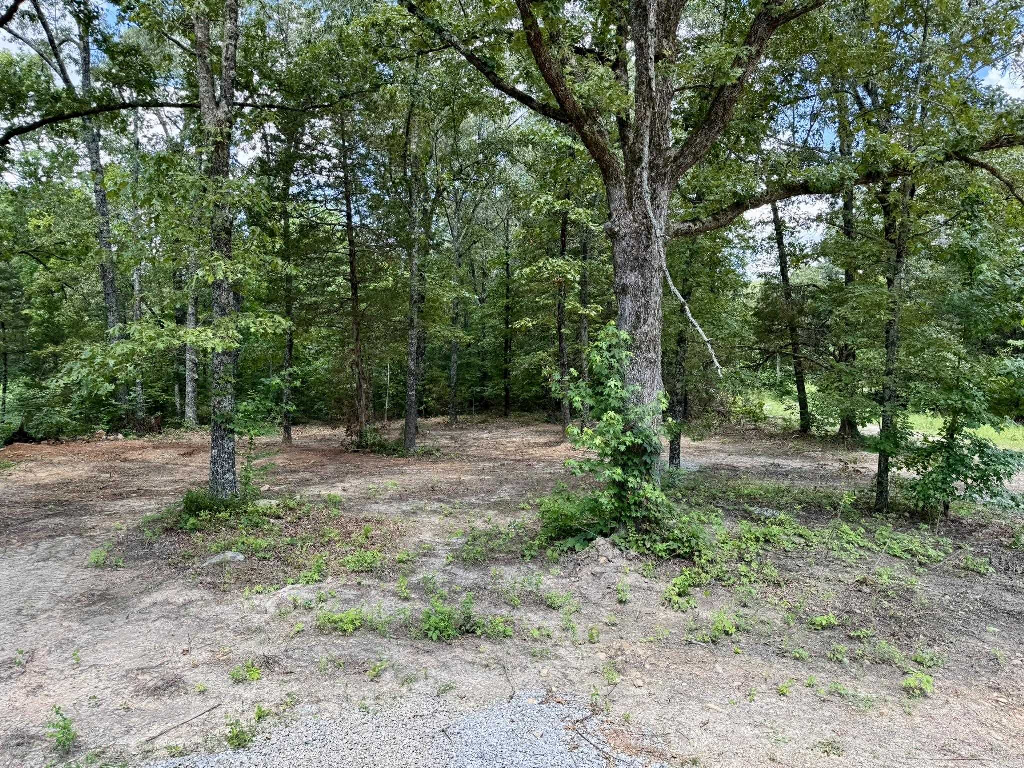 Photo 23 - Residential for sale – 2981  Bonetown Road   Melbourne, AR