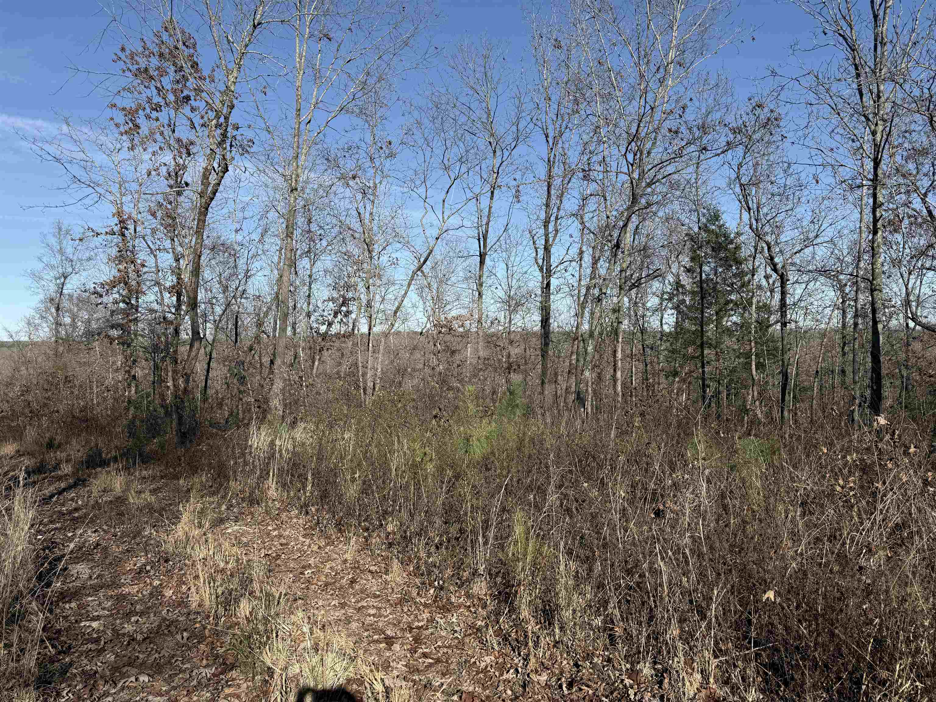 Photo 2 - Vacant Land for sale – 00  Hwy 63   Ravenden, AR