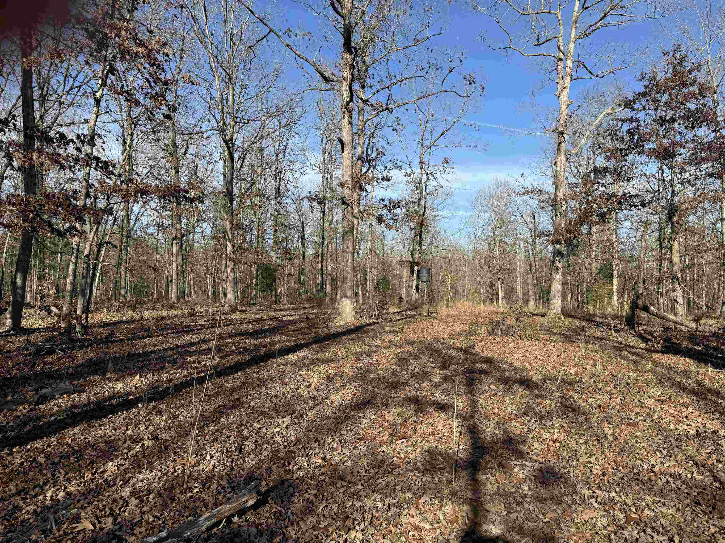 Photo 11 - Vacant Land for sale – 00  Hwy 63   Ravenden, AR