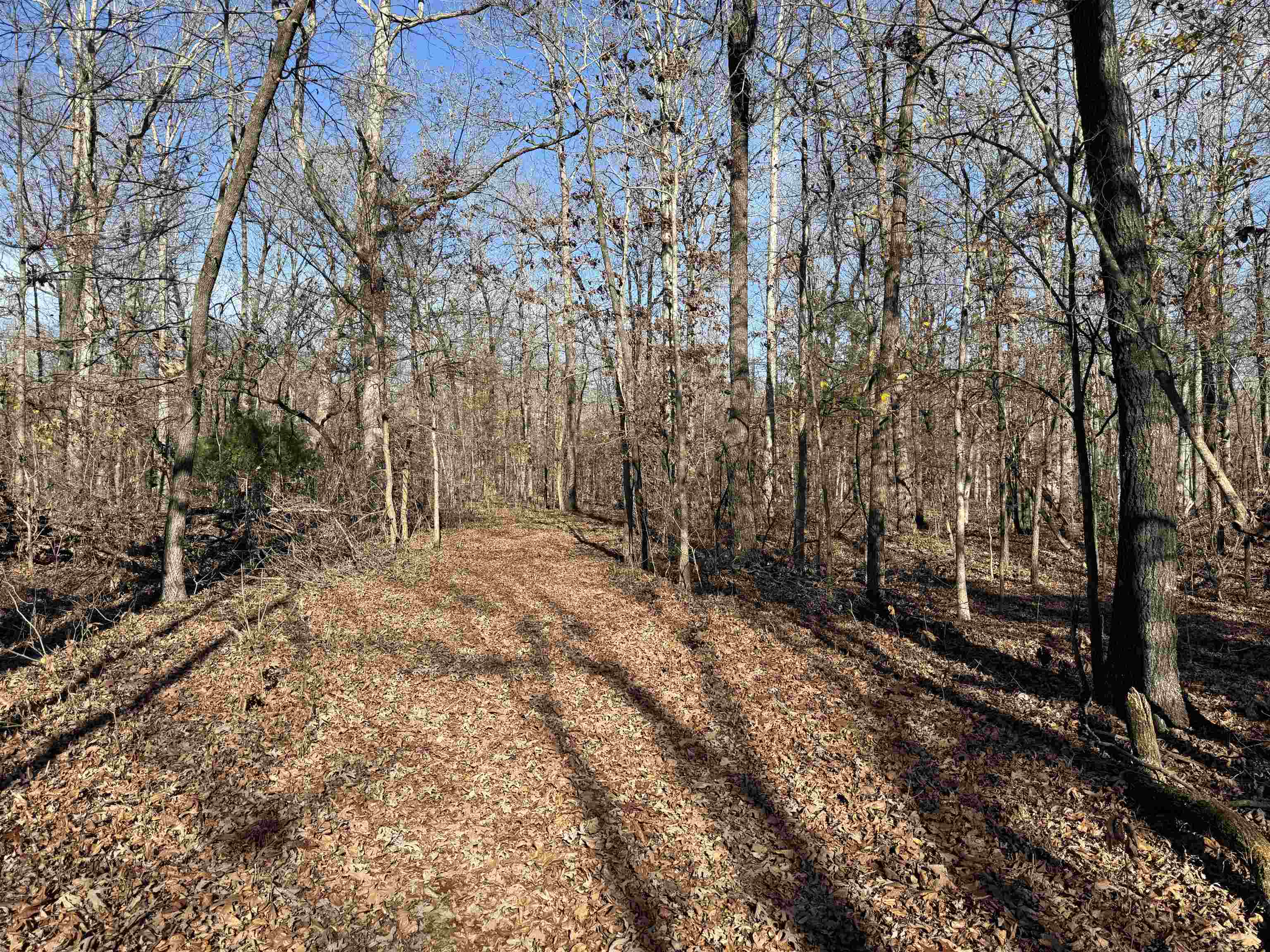 Photo 12 - Vacant Land for sale – 00  Hwy 63   Ravenden, AR