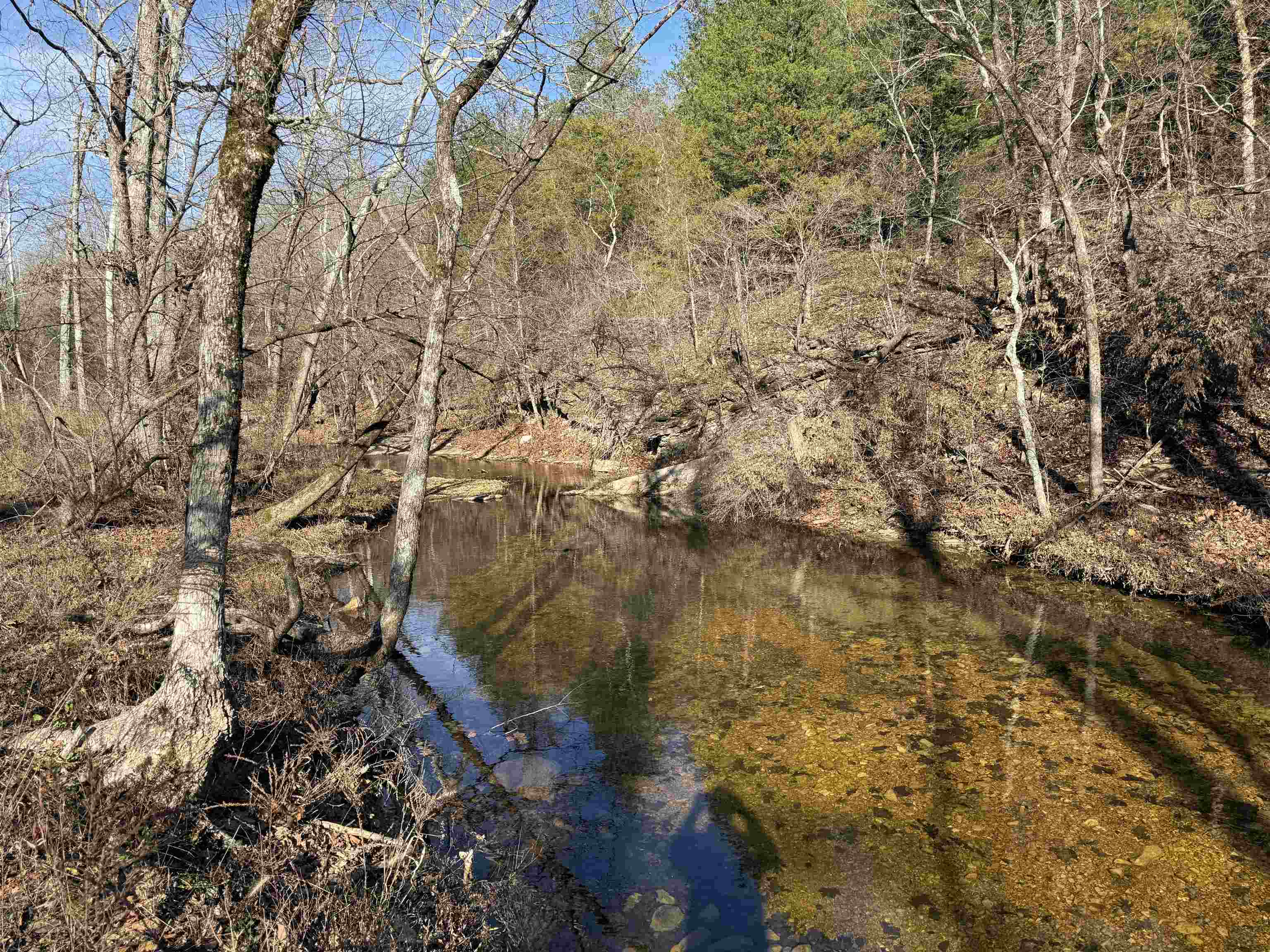 Photo 13 - Vacant Land for sale – 00  Hwy 63   Ravenden, AR