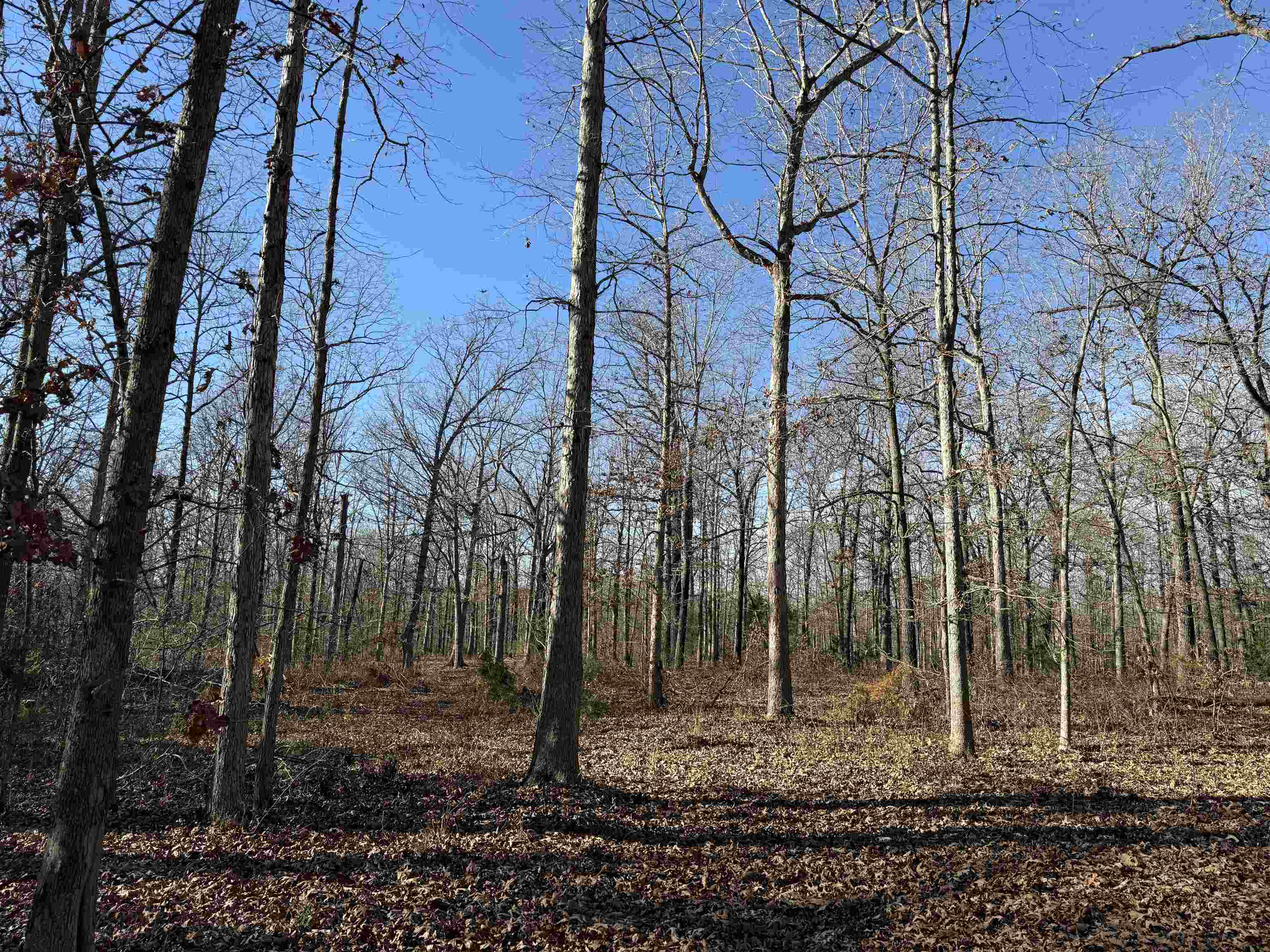 Photo 15 - Vacant Land for sale – 00  Hwy 63   Ravenden, AR