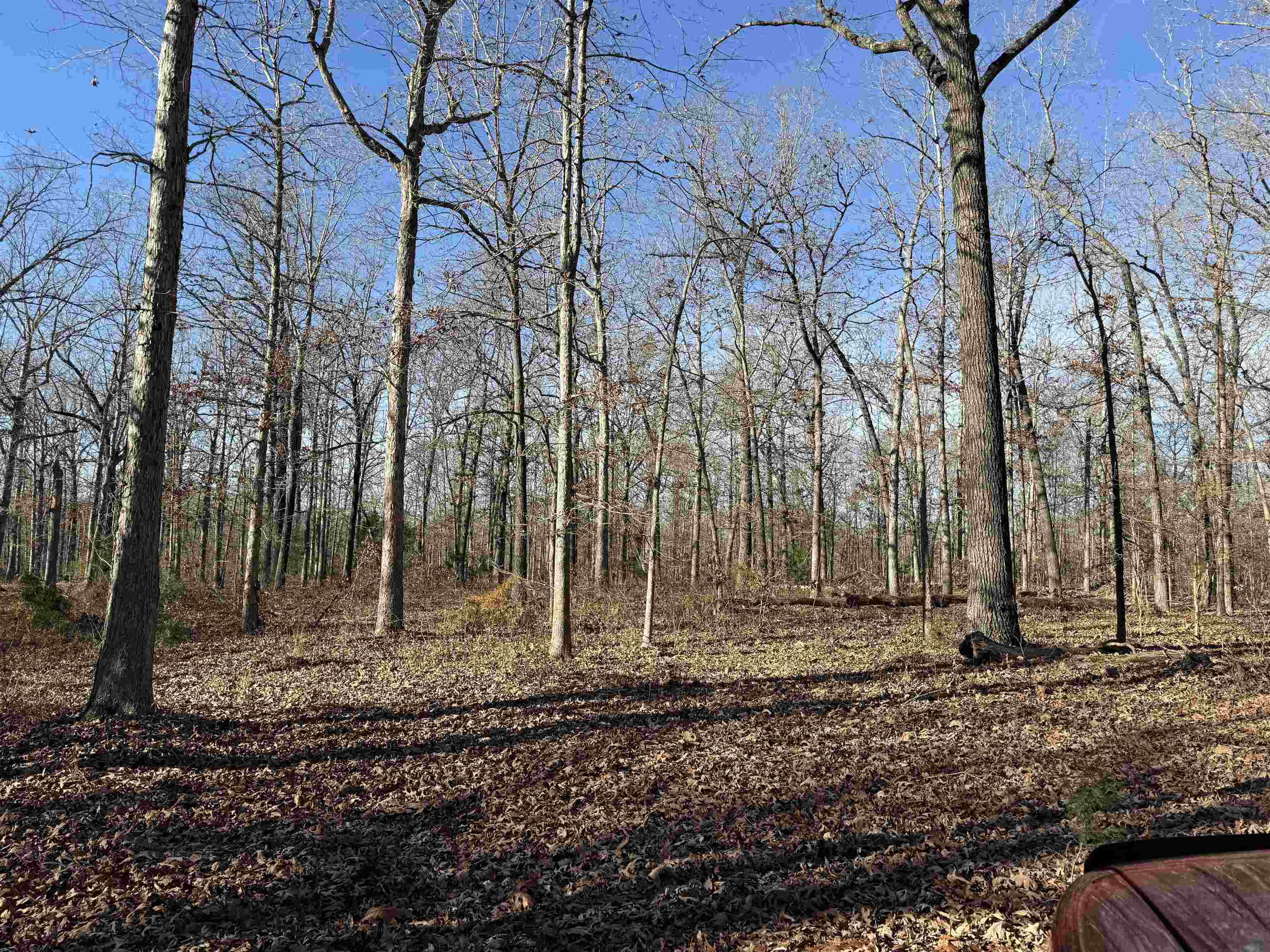 Photo 16 - Vacant Land for sale – 00  Hwy 63   Ravenden, AR