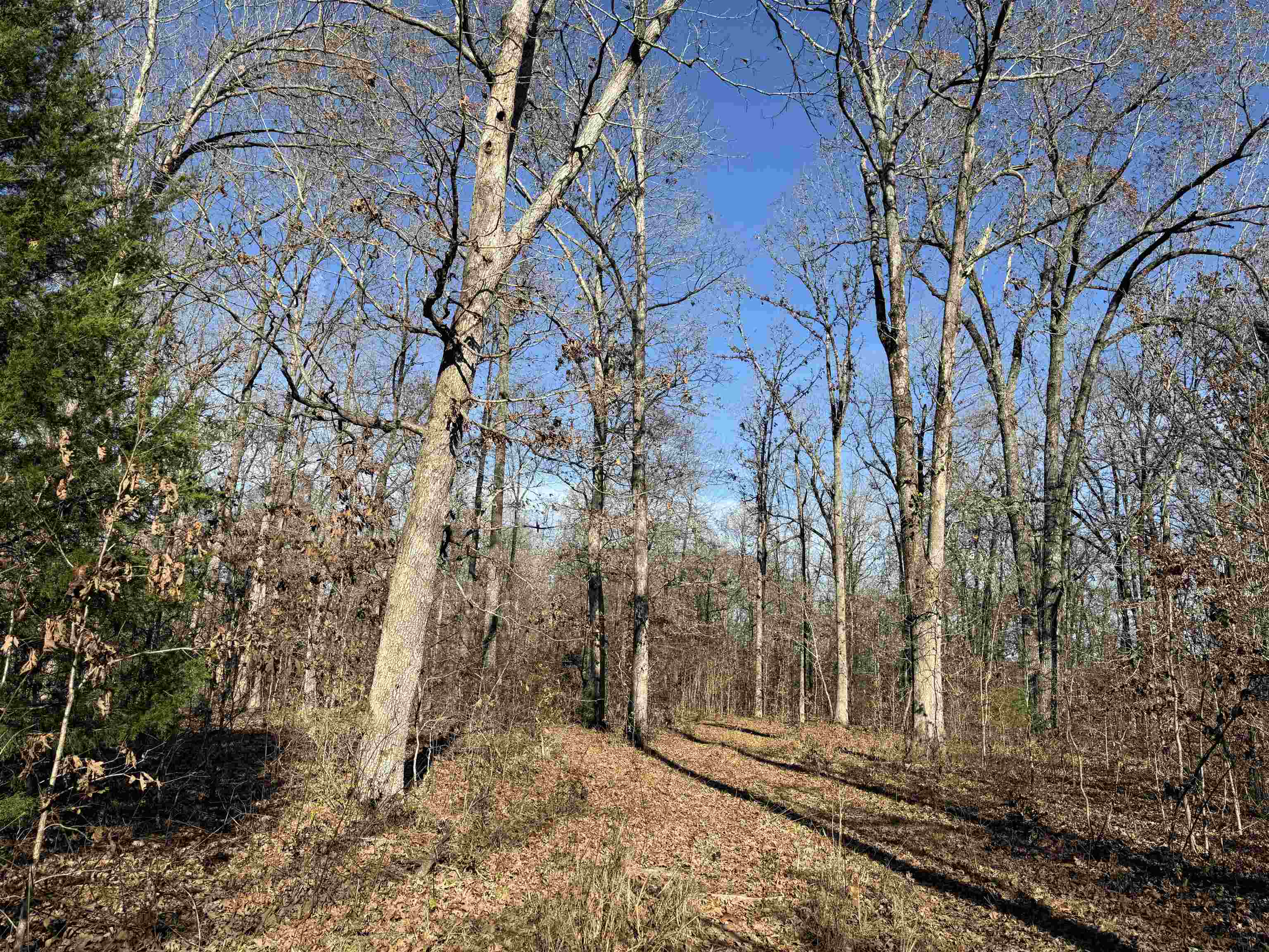 Photo 17 - Vacant Land for sale – 00  Hwy 63   Ravenden, AR