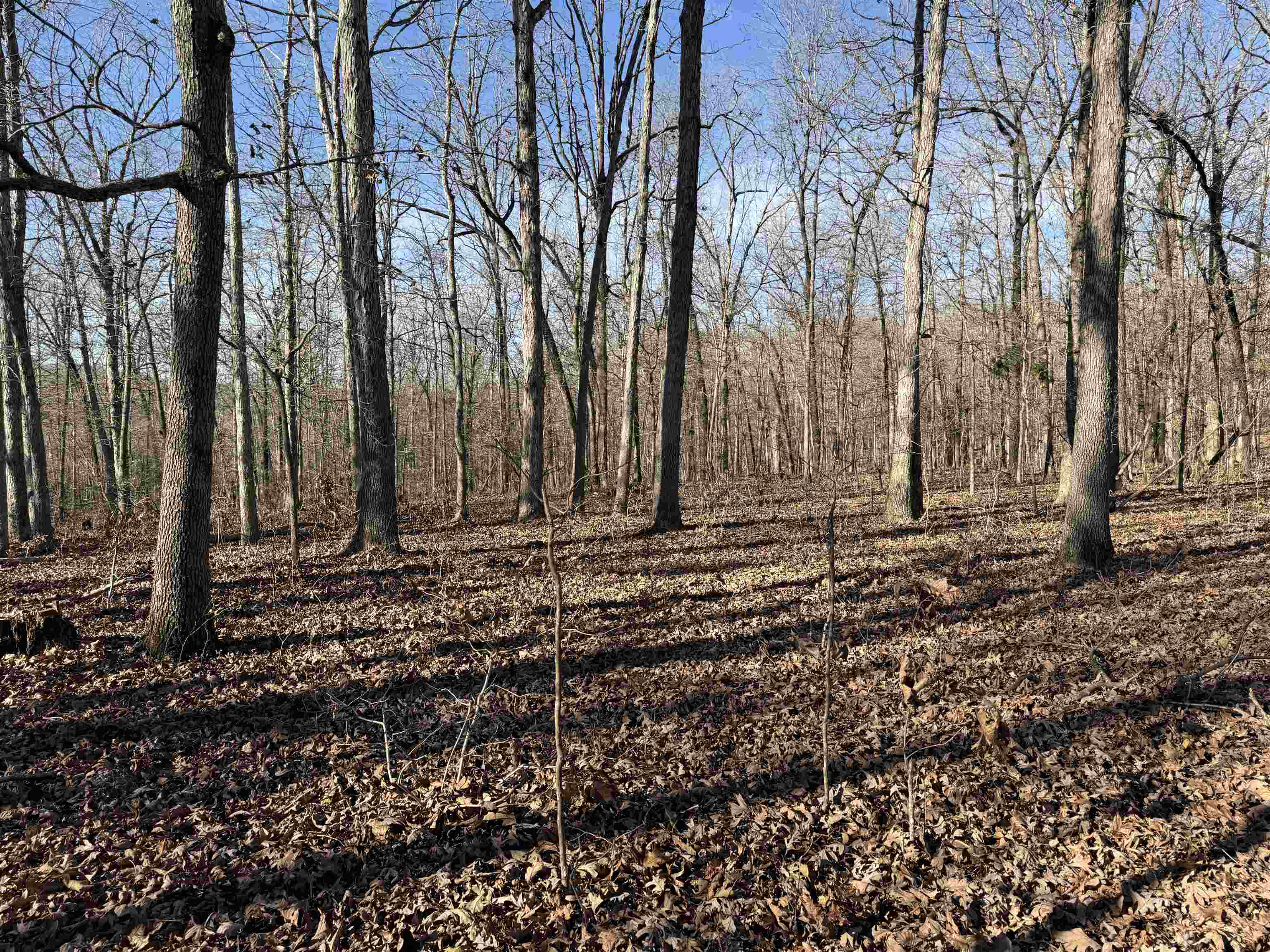 Photo 18 - Vacant Land for sale – 00  Hwy 63   Ravenden, AR