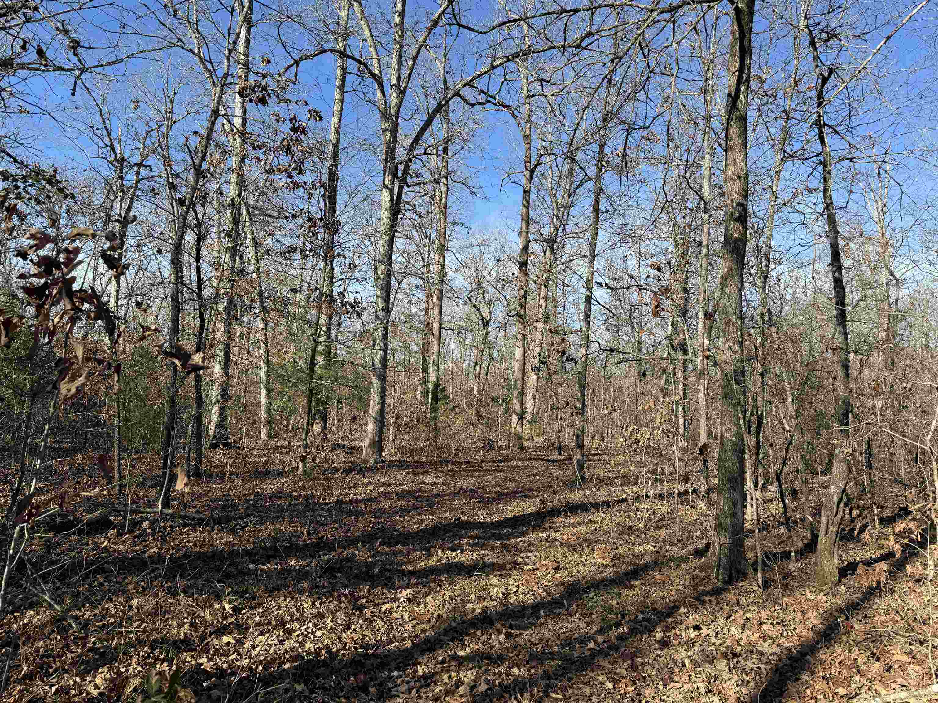 Photo 20 - Vacant Land for sale – 00  Hwy 63   Ravenden, AR